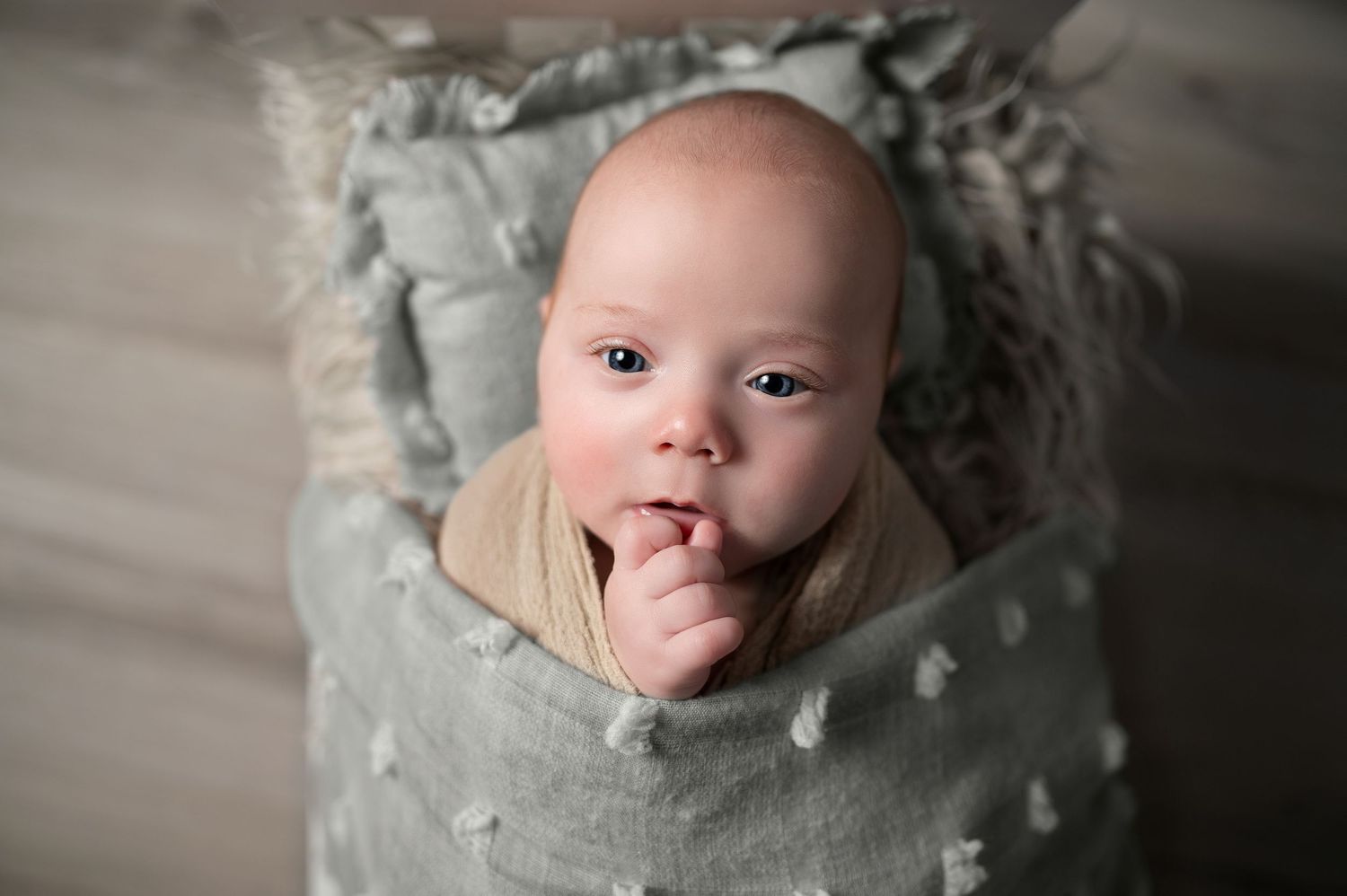 Artistic series of close-up shots with soft grey wrapping and natural lighting.