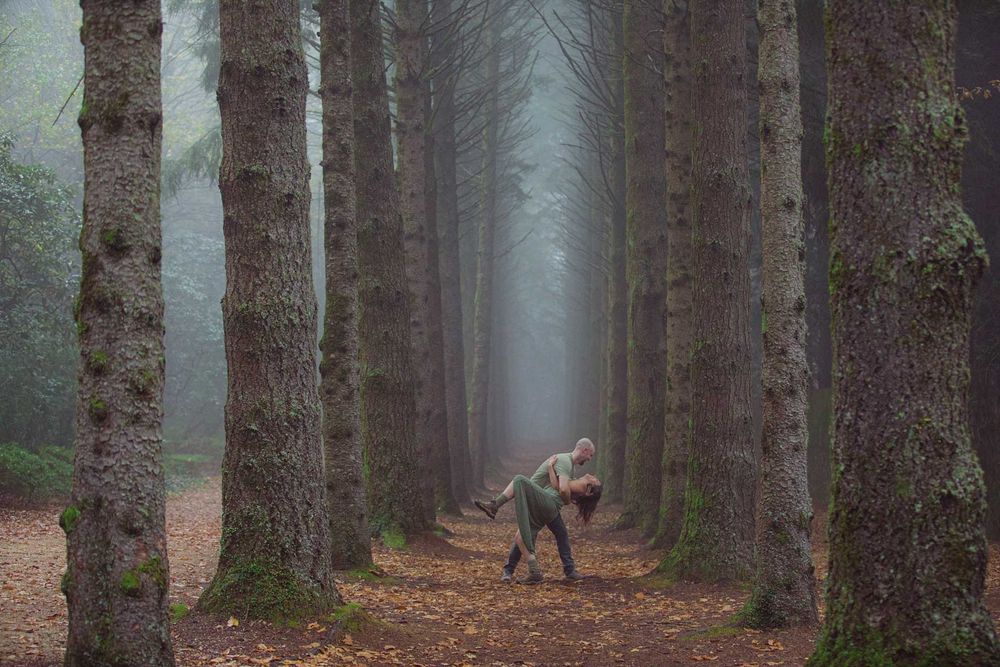 Misty engagement photos in Breenhold Gardens, Mt Wilson.