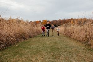 Wide panoramic view of a grassy path through autumn corn fields.