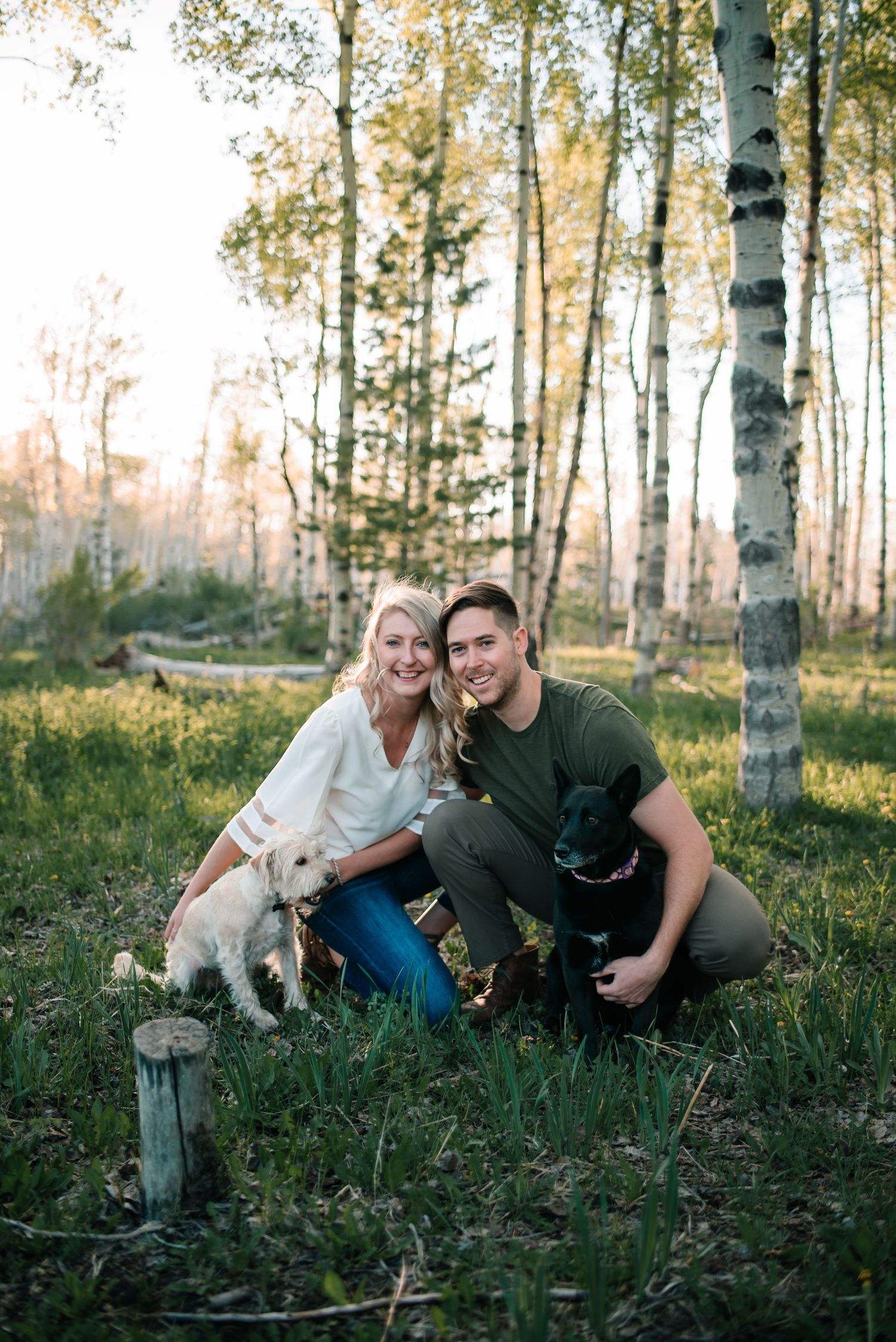 Couple with their dogs sitting on grass in birch forest during golden hour.