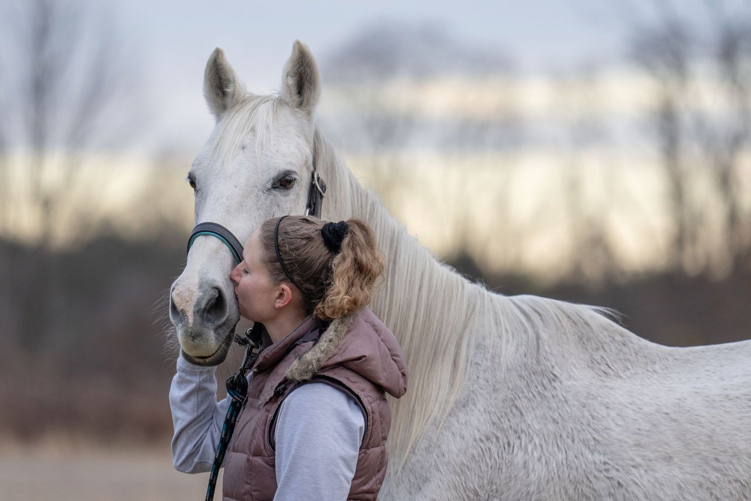 Twilight session for a very special horse