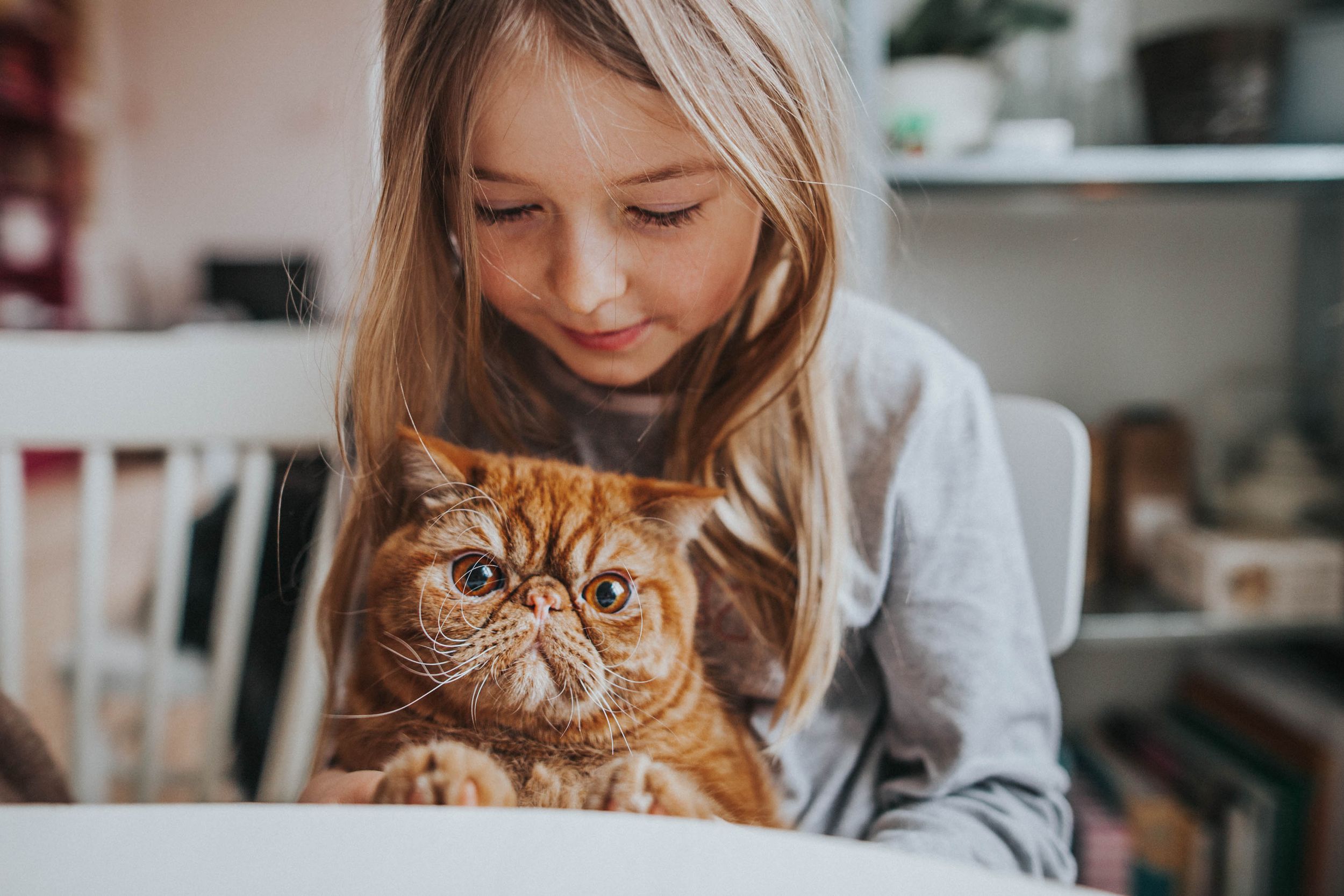 Lifestyle family photography indoors with natural light, capturing children’s humor, authenticity, and tender interactions.