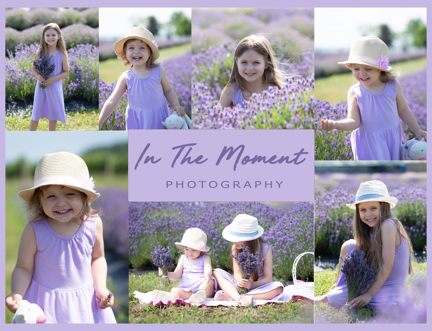 lavender session