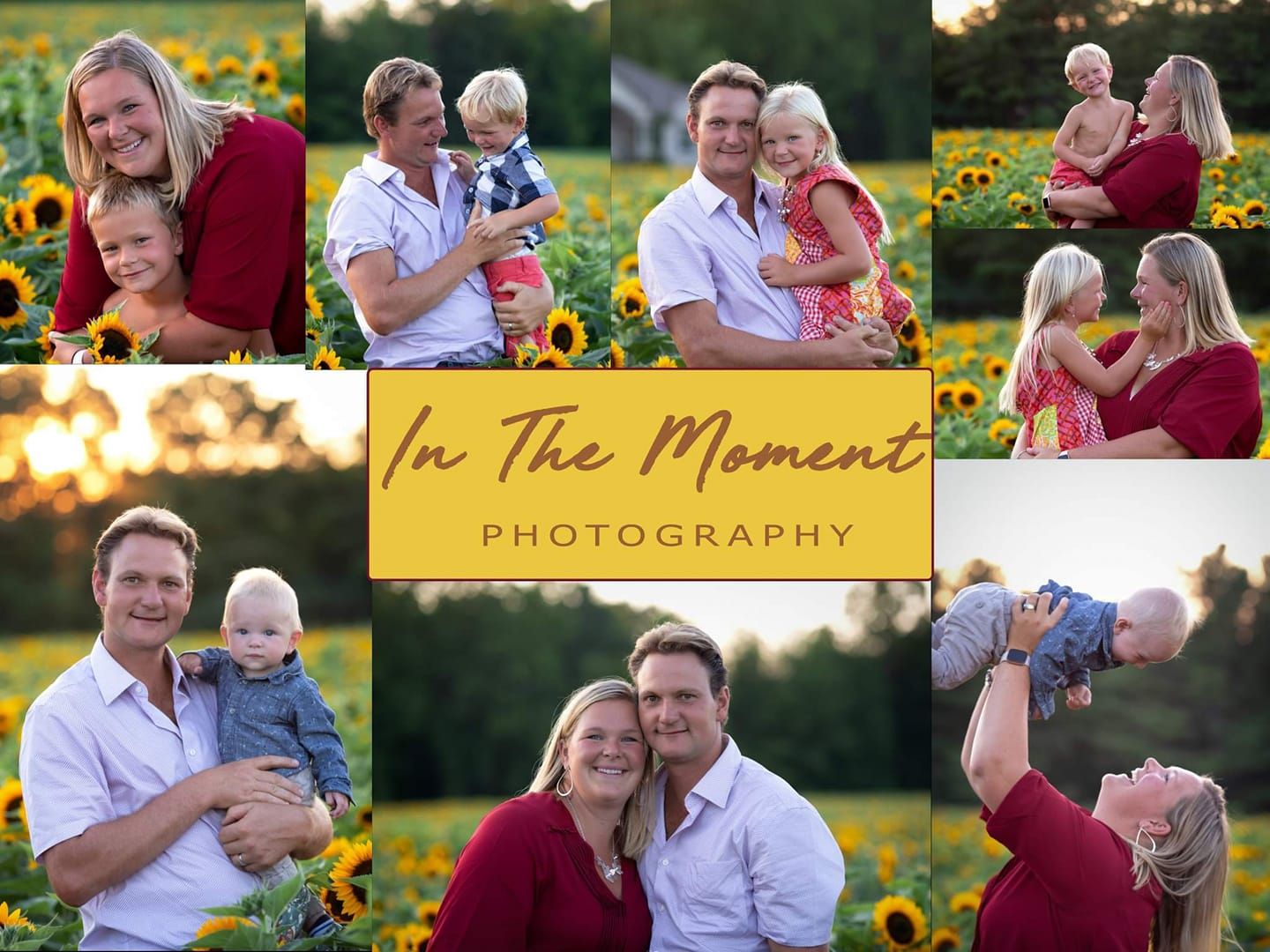 sunflower session