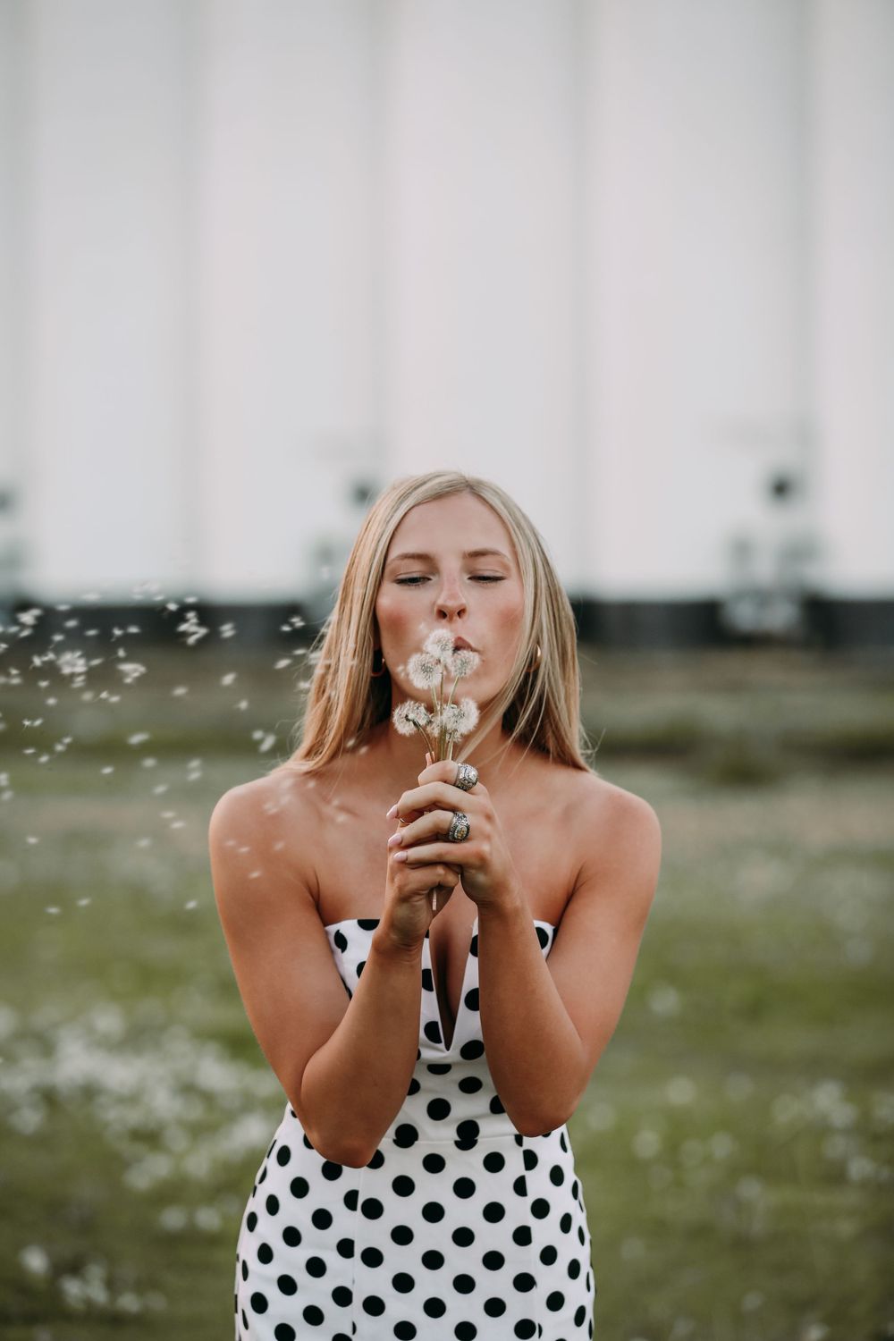 Sophie Smith Dandelion