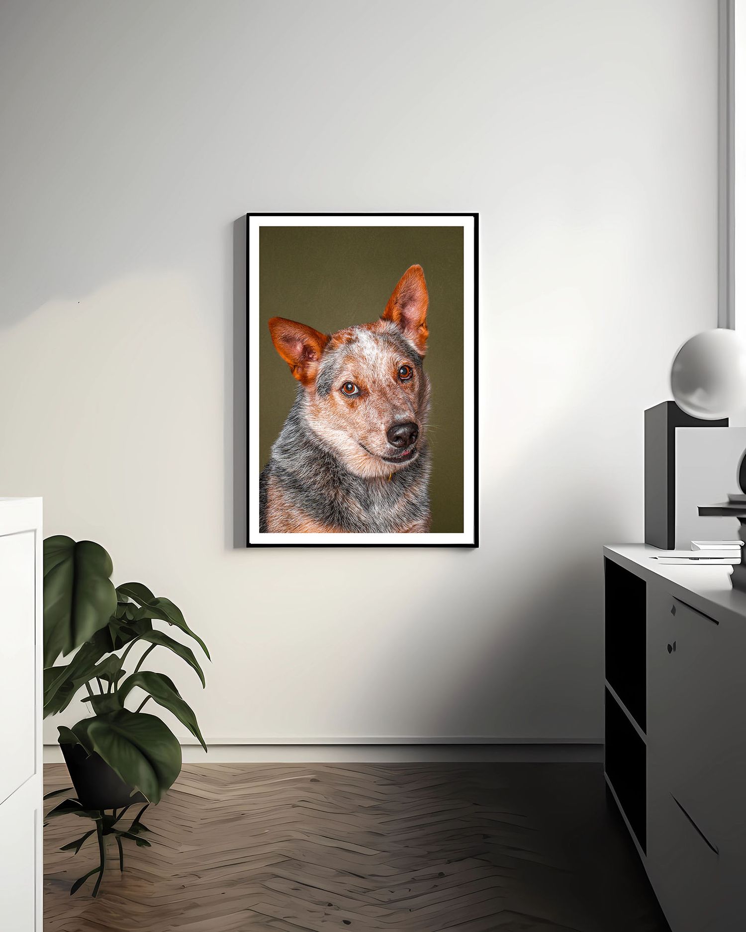 Studio dog portrait taken by Wildomar California dog photographer