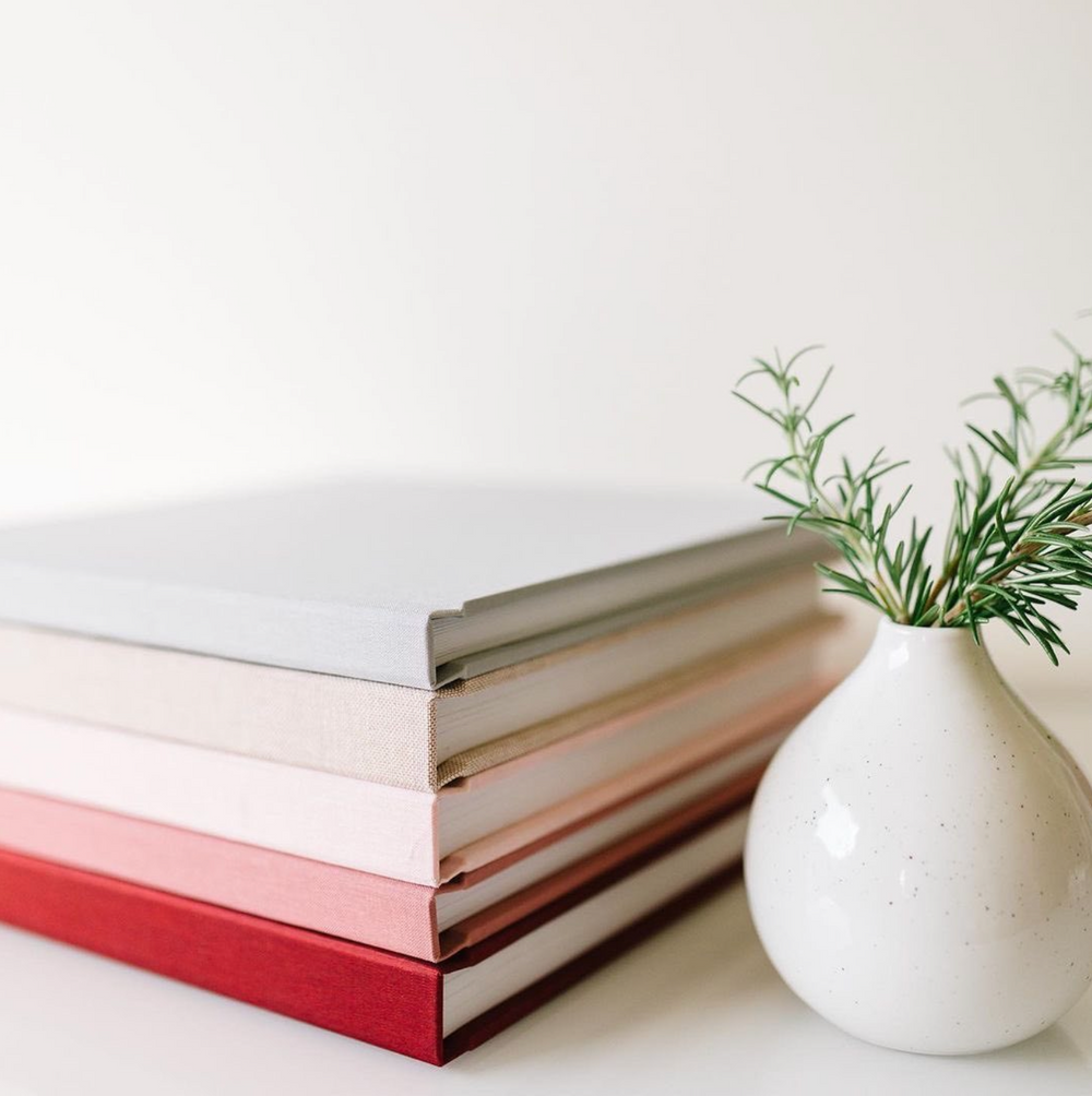Minimalist white books with decorative plant in ceramic vase.