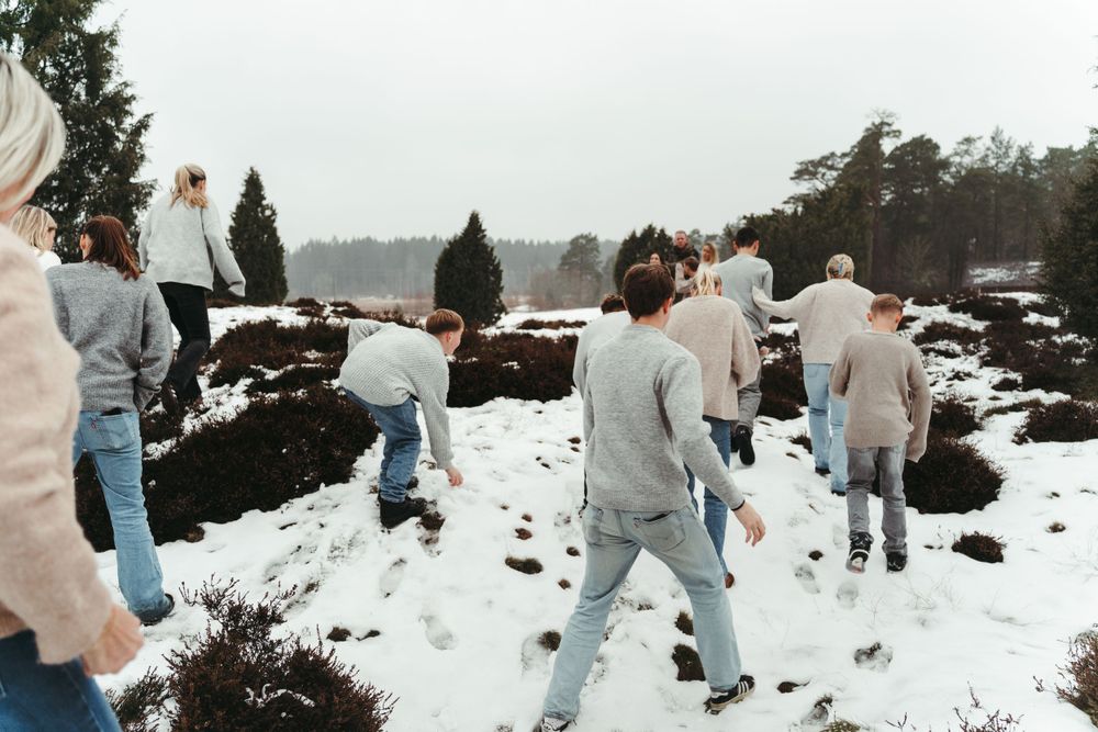 A group explores a snowy landscape with evergreen trees on an overcast winter day.
