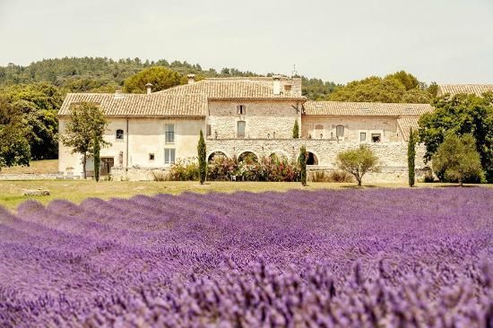 domaine de patras