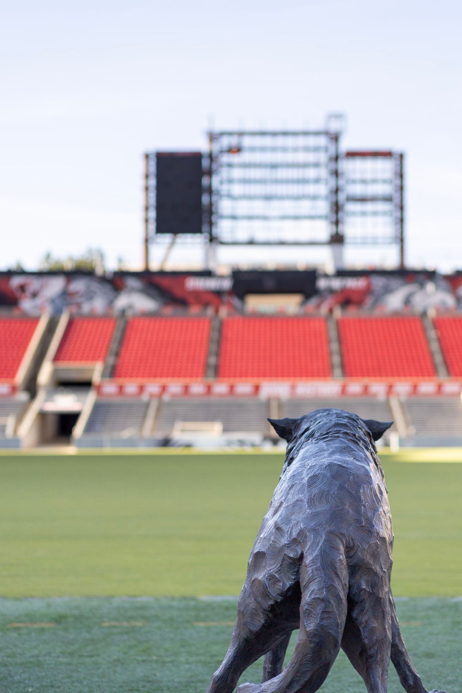 A bronze statue of a wolf stands overlooking an empty sports stadium with red seats and a large scoreboard.