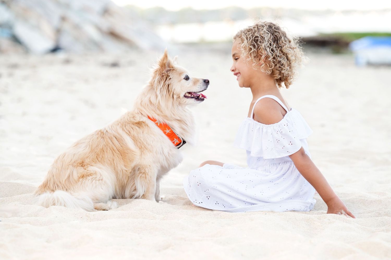 Golden retriever and companion sitting together on a sunny beach.
