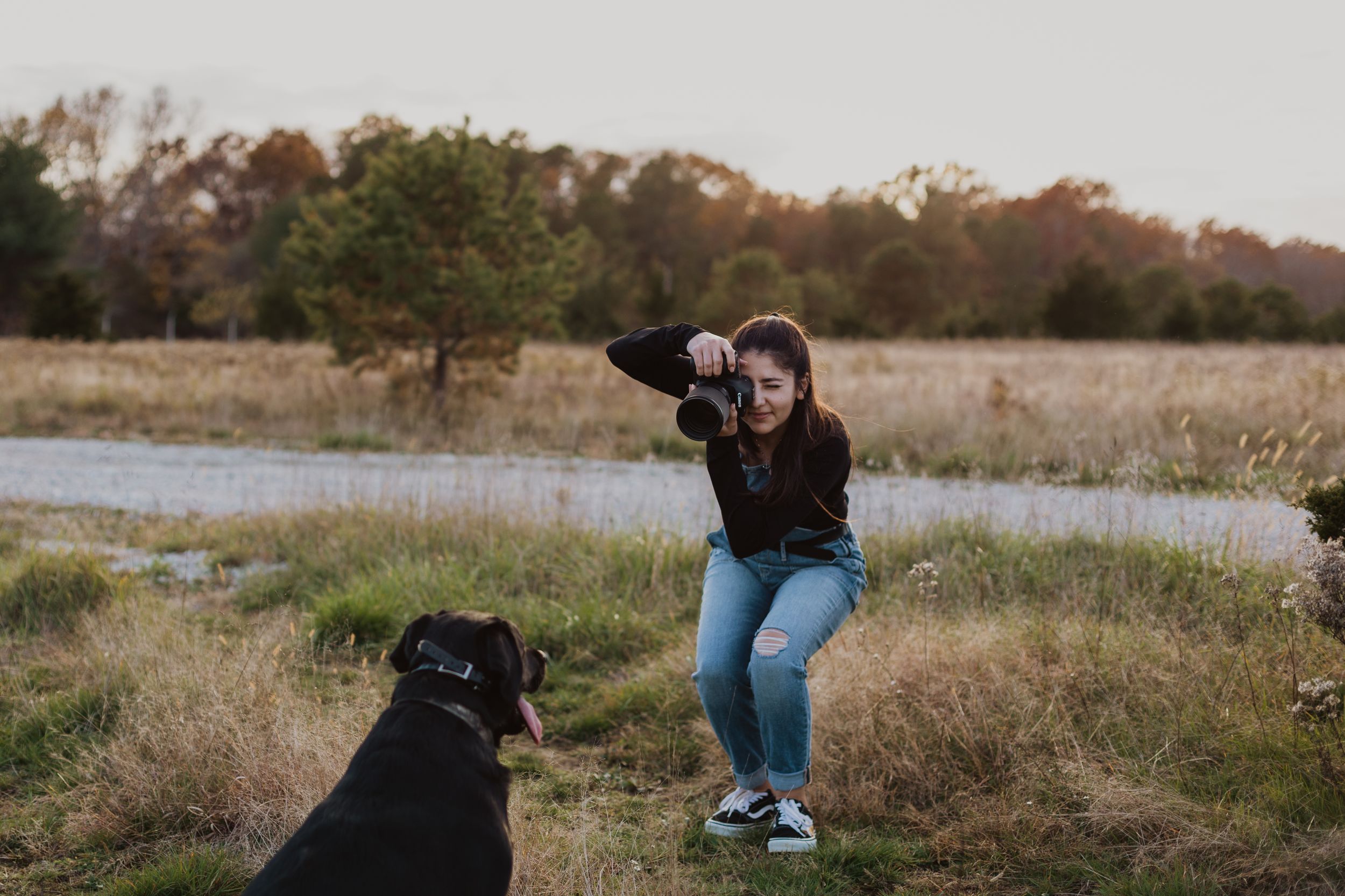 A playful scene with someone in denim jeans interacting with a black dog in a grassy field at sunset.