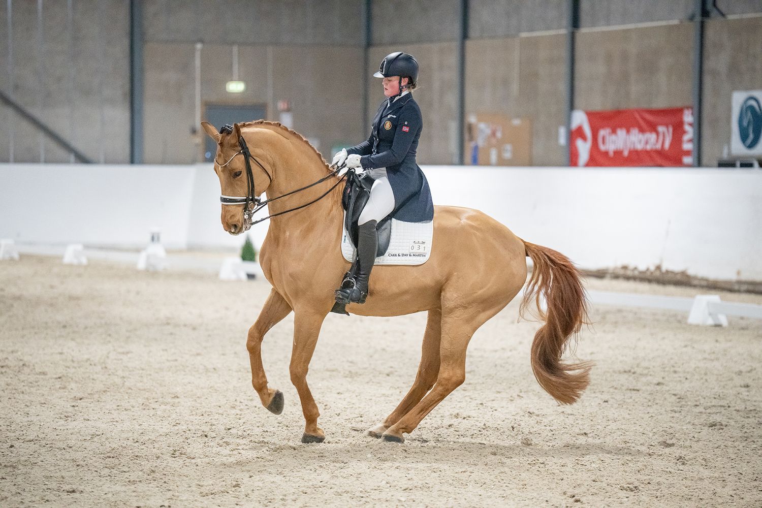 Equestrian rider performing dressage on a chestnut horse in an indoor arena.