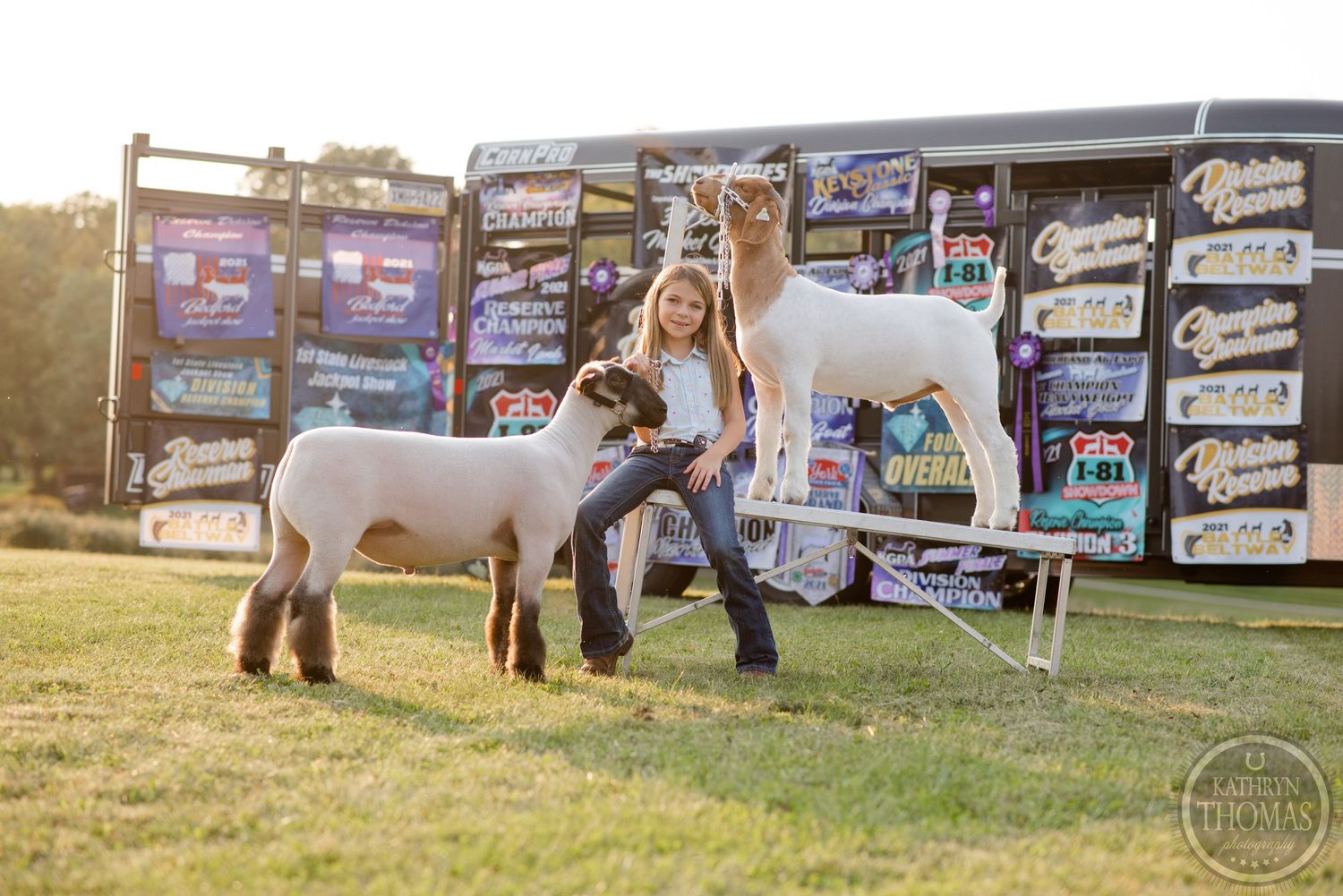 Show lamb stands with handler in front of display wall filled with banners and signs at outdoor event.