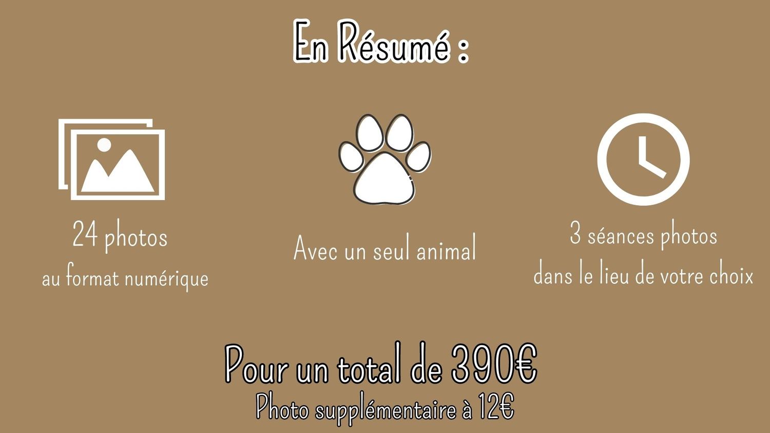 photographe animal de compagnie animaux alsace