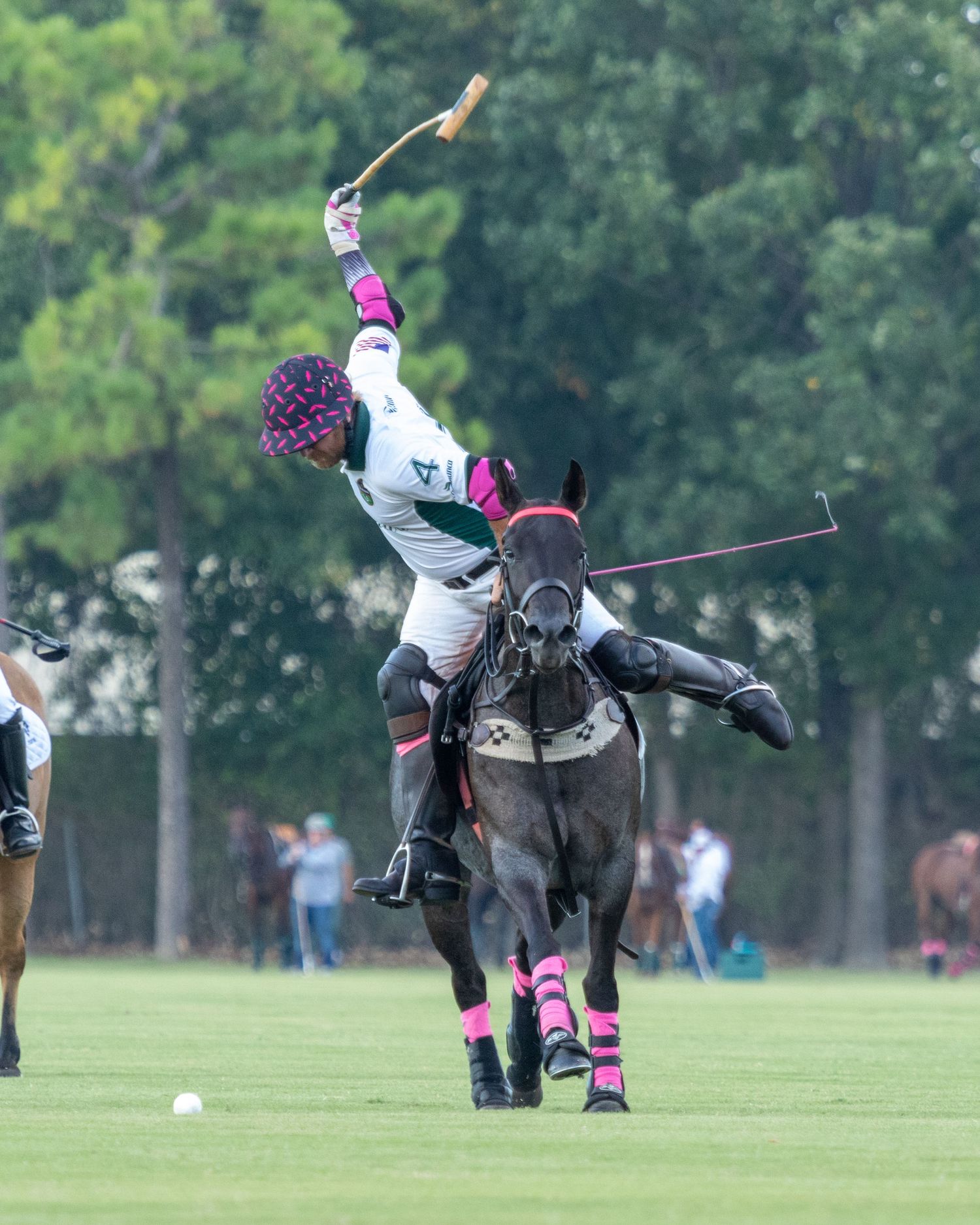 Polo Shane Rice