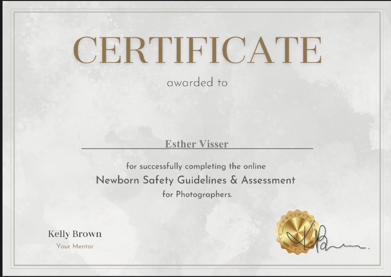 A professional photography safety certificate with gold seal and elegant typography.