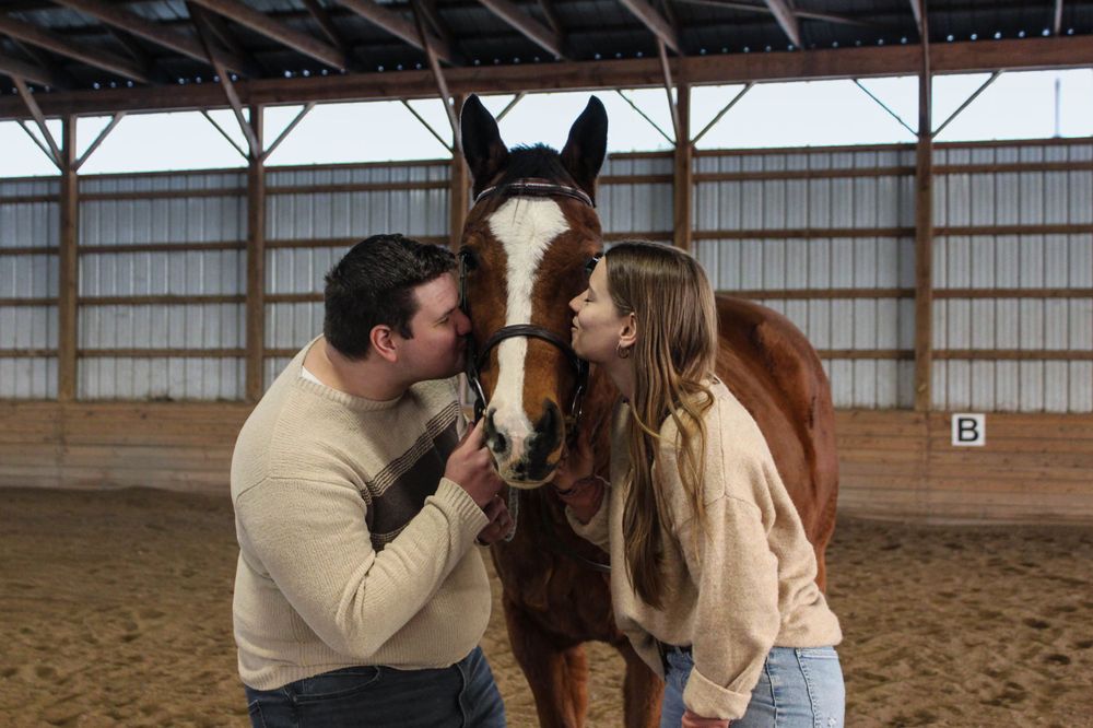 A bay horse with white markings receives affection from two people in a barn.