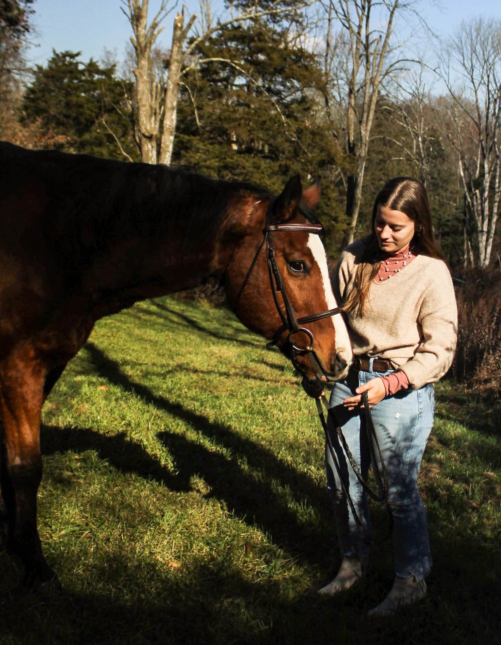 A bay horse and its handler share a moment in late afternoon sunlight.