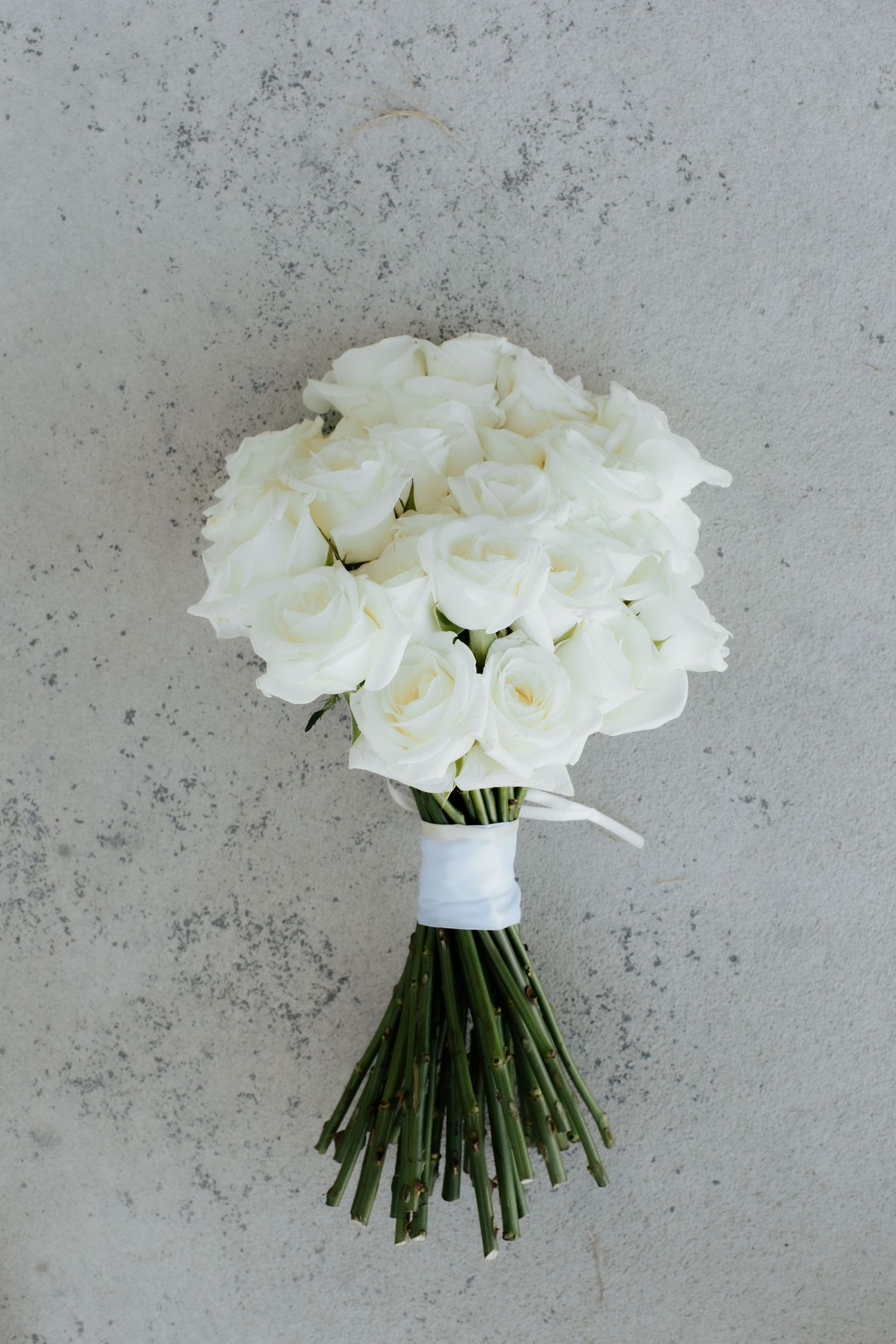 Elegant white rose bridal bouquet wrapped with ribbon against textured grey wall.