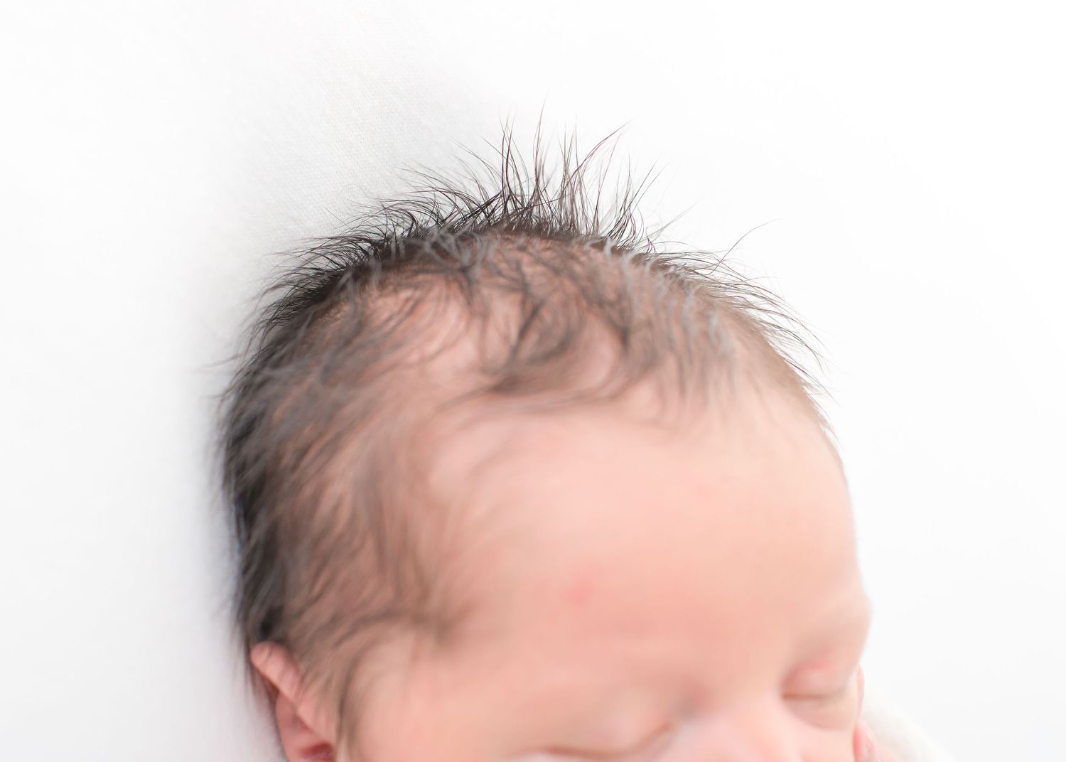 close up of brown hair on a newborn baby boy during a newborn studio photography session in houston texas