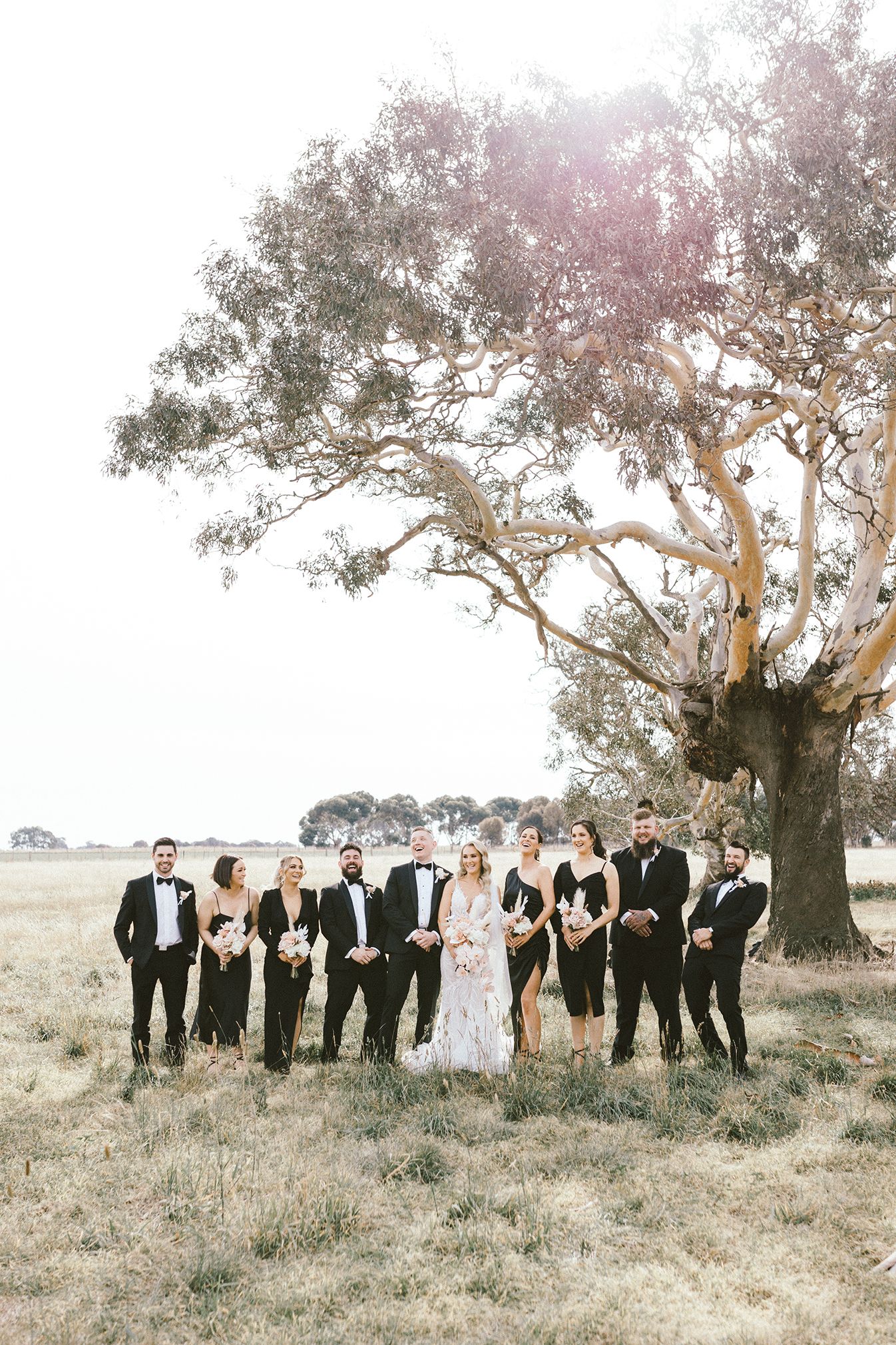 Wedding party poses beneath a majestic gum tree in an open field during golden hour.
