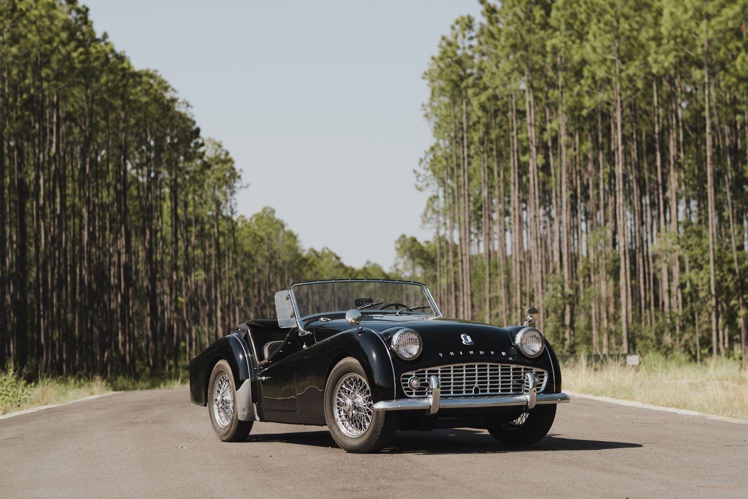 Vintage black sports car on a tree-lined road.