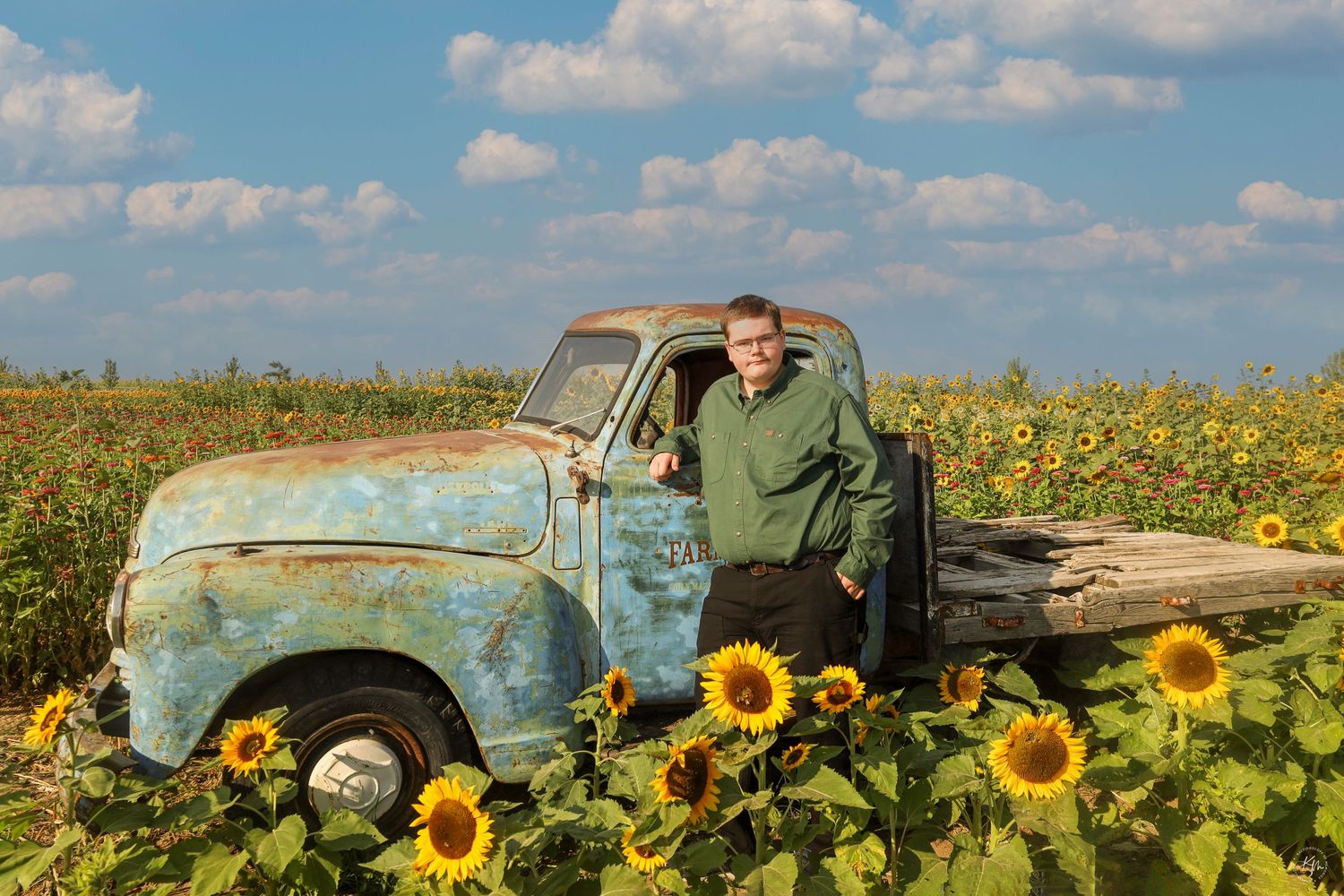 Rustic old blue truck parked in a vibrant field of blooming sunflowers under a cloudy sky.