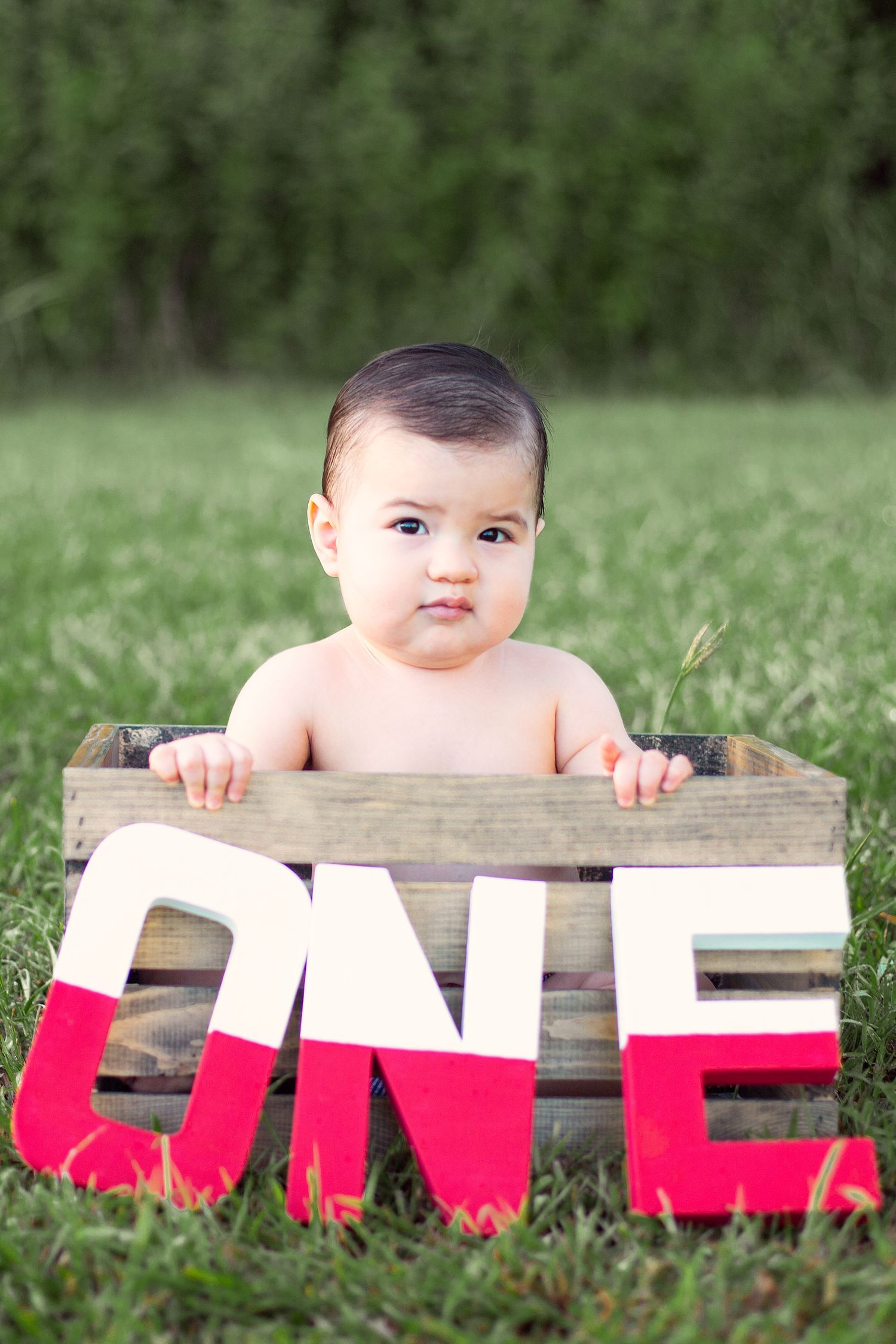 first birthday one photography portraits sienna tx