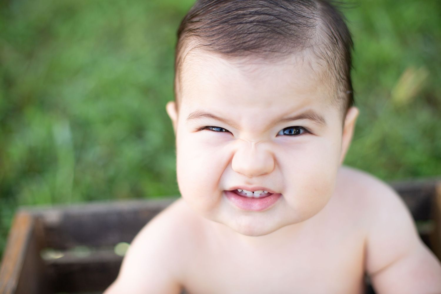 first birthday one photography portraits sienna tx