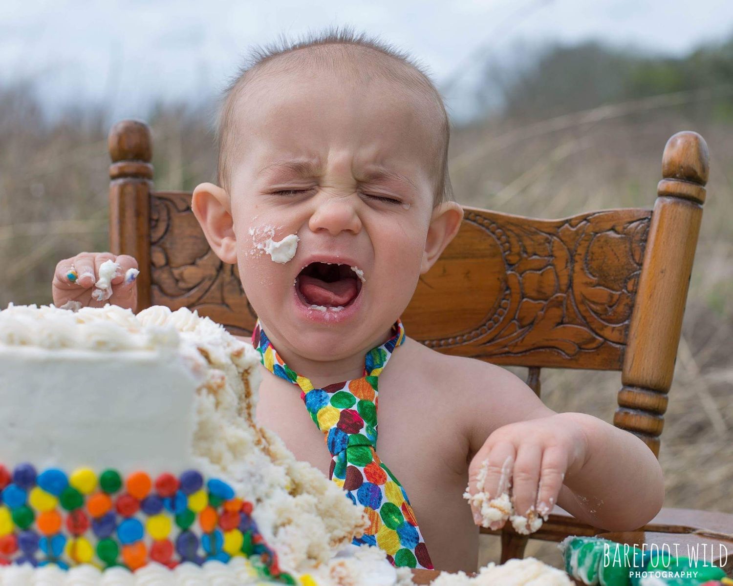 first birthday one cake smash photography portraits sienna tx