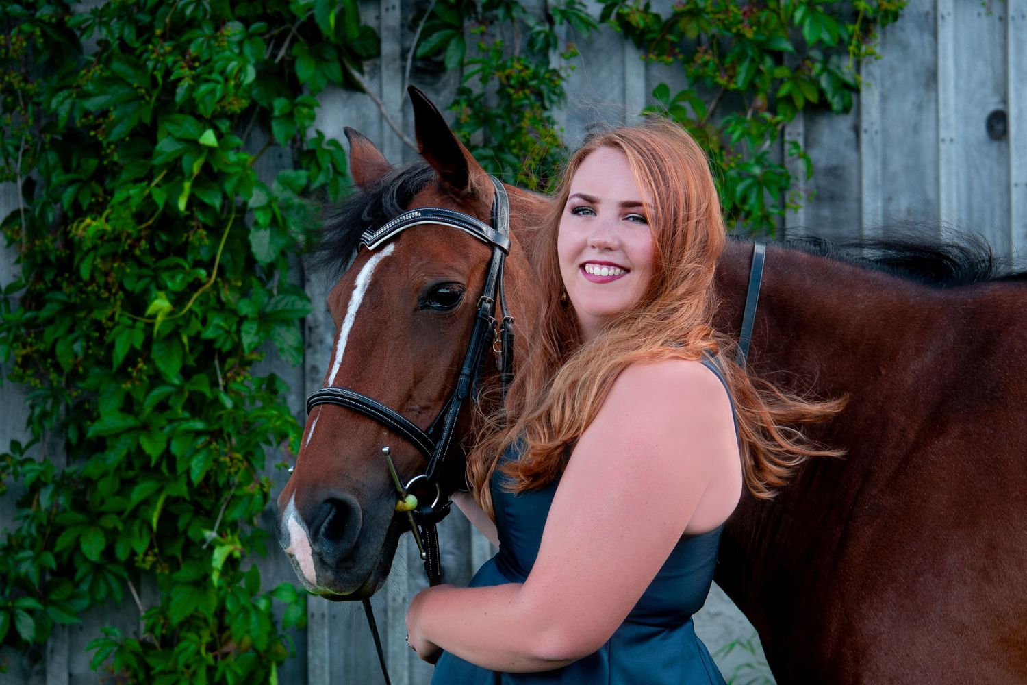 equine