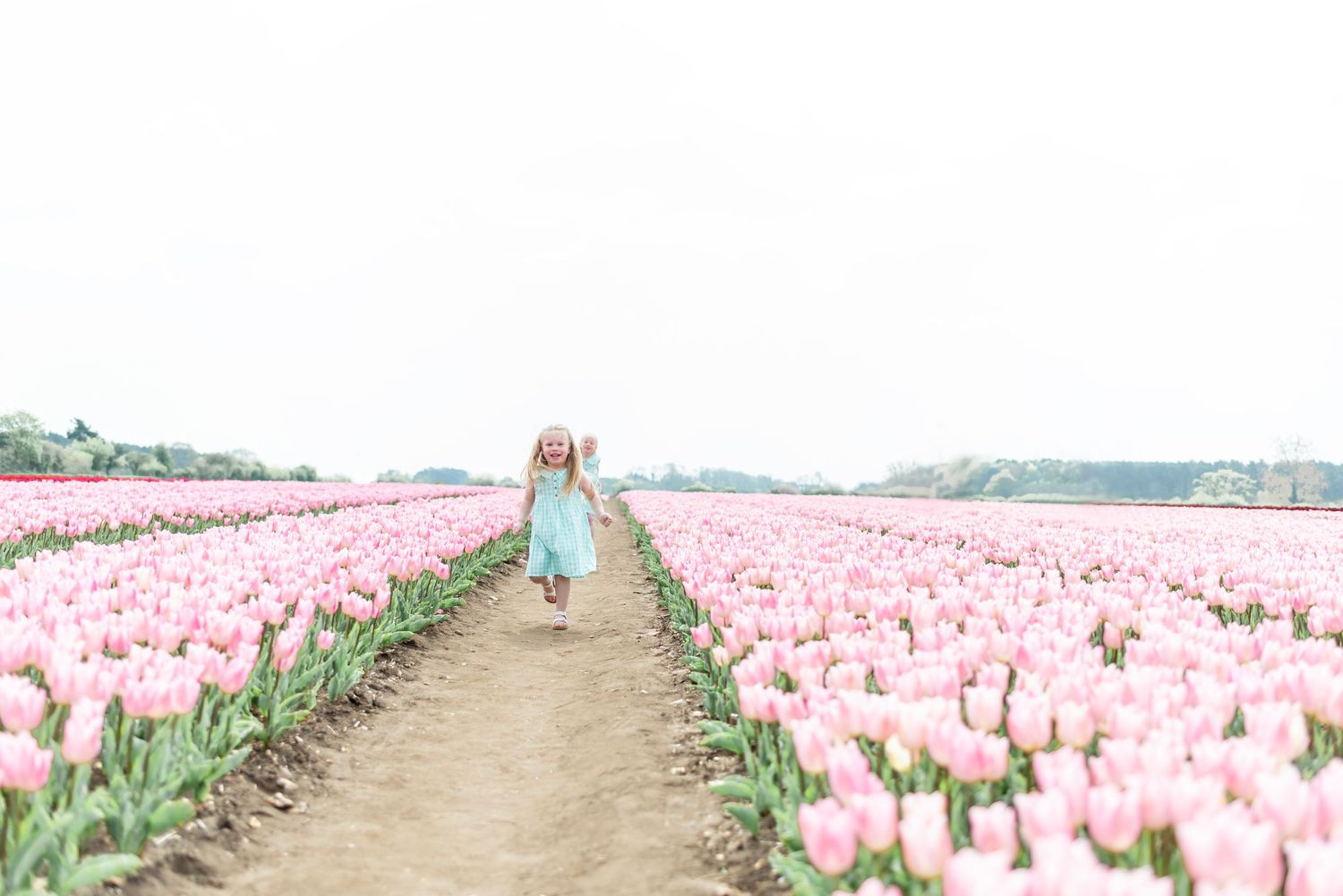 A person in a mint green dress walks down a dirt path between rows of pink blooming tulips in a vast flower field.