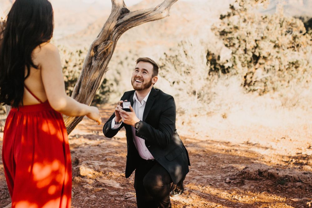 A romantic proposal scene unfolds in a natural setting with golden sunlight filtering through trees.