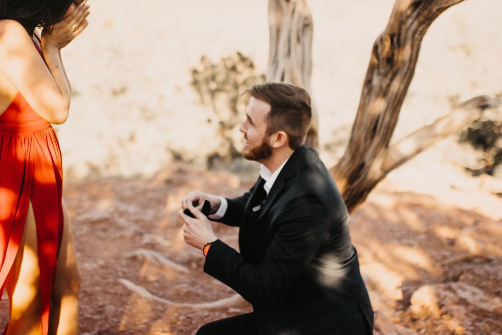 A couple embraces during a sunset proposal among eucalyptus trees.