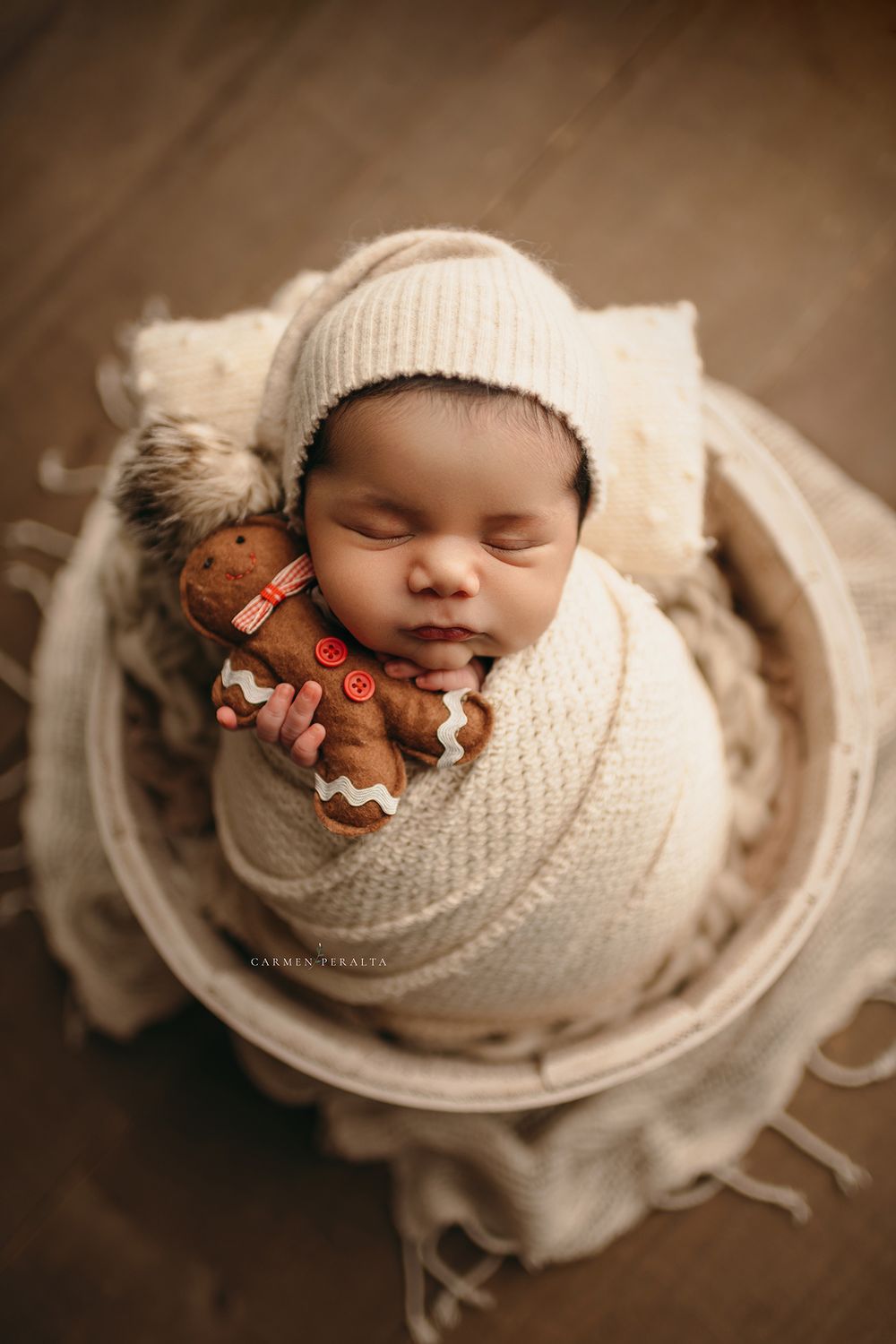 rustic newborn photographer in new jersey