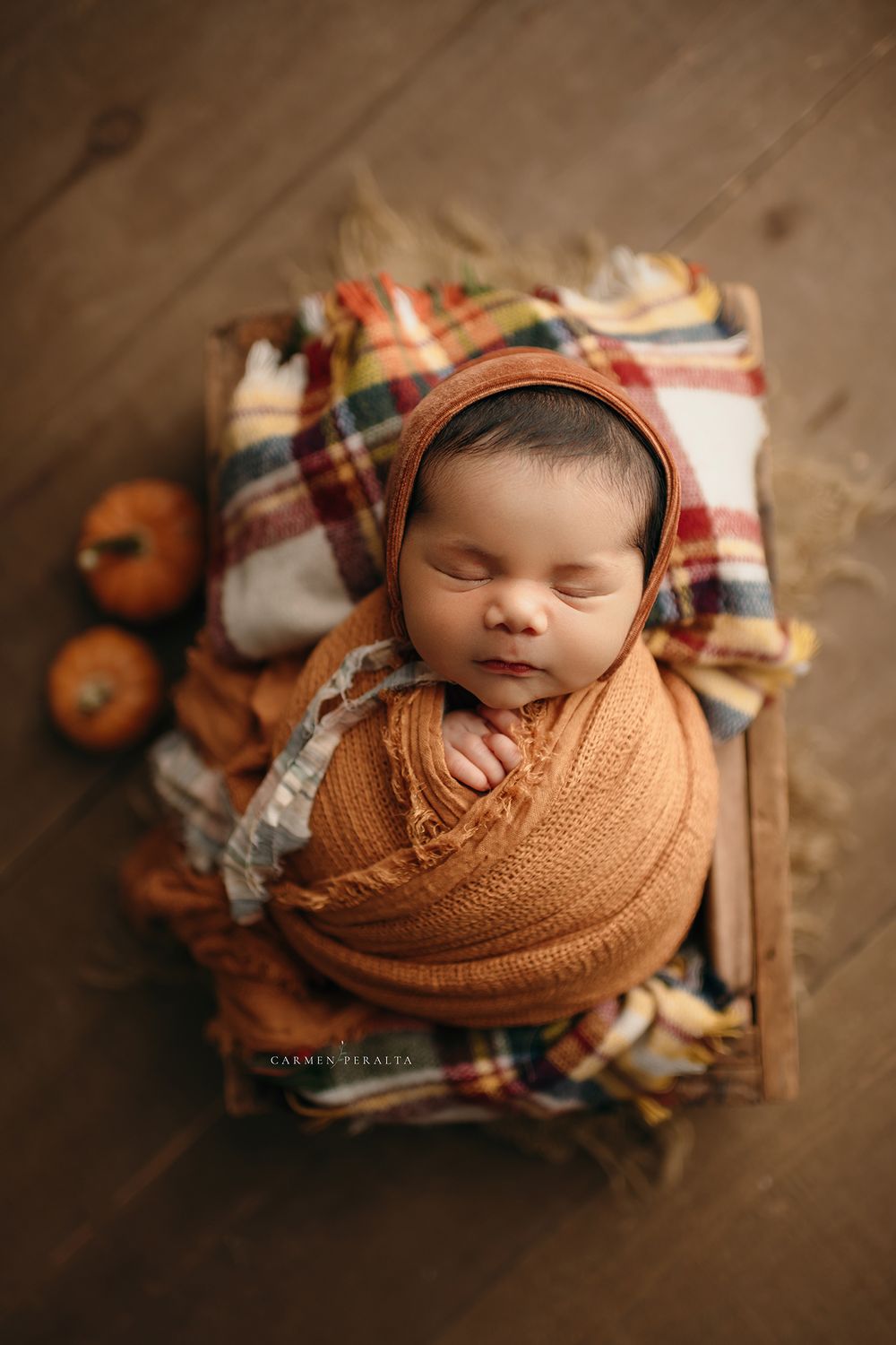 morris county newborn photographer