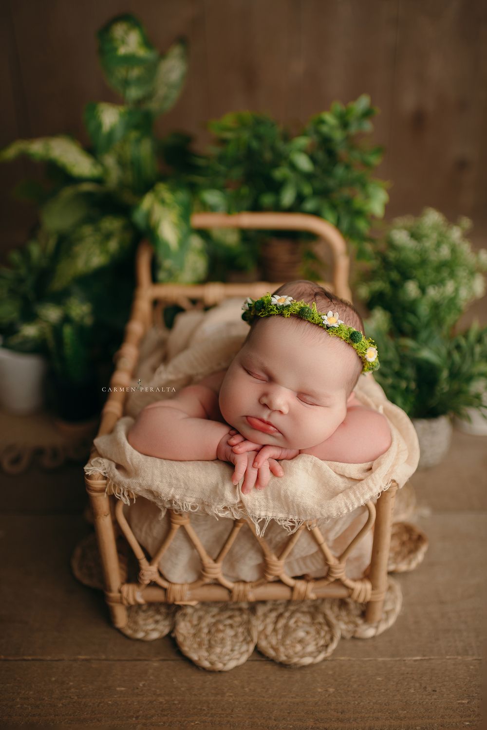 bergen county newborn photographer