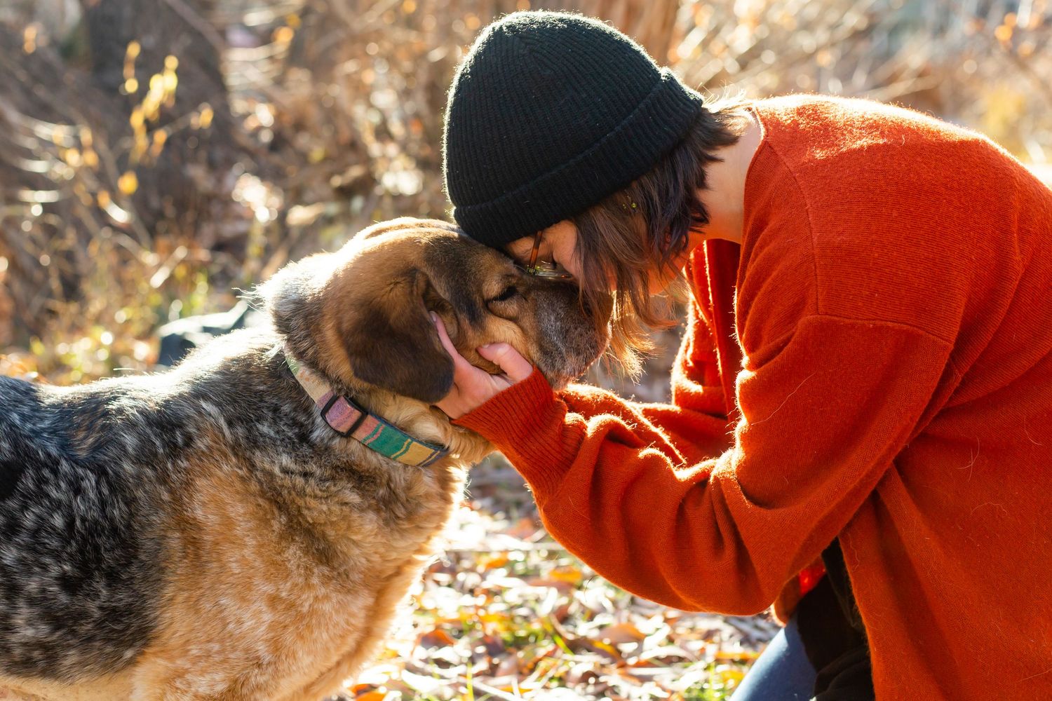 Colorado dog photographer, Colorado pet photographer, Denver dog photographer, Denver pet photographer