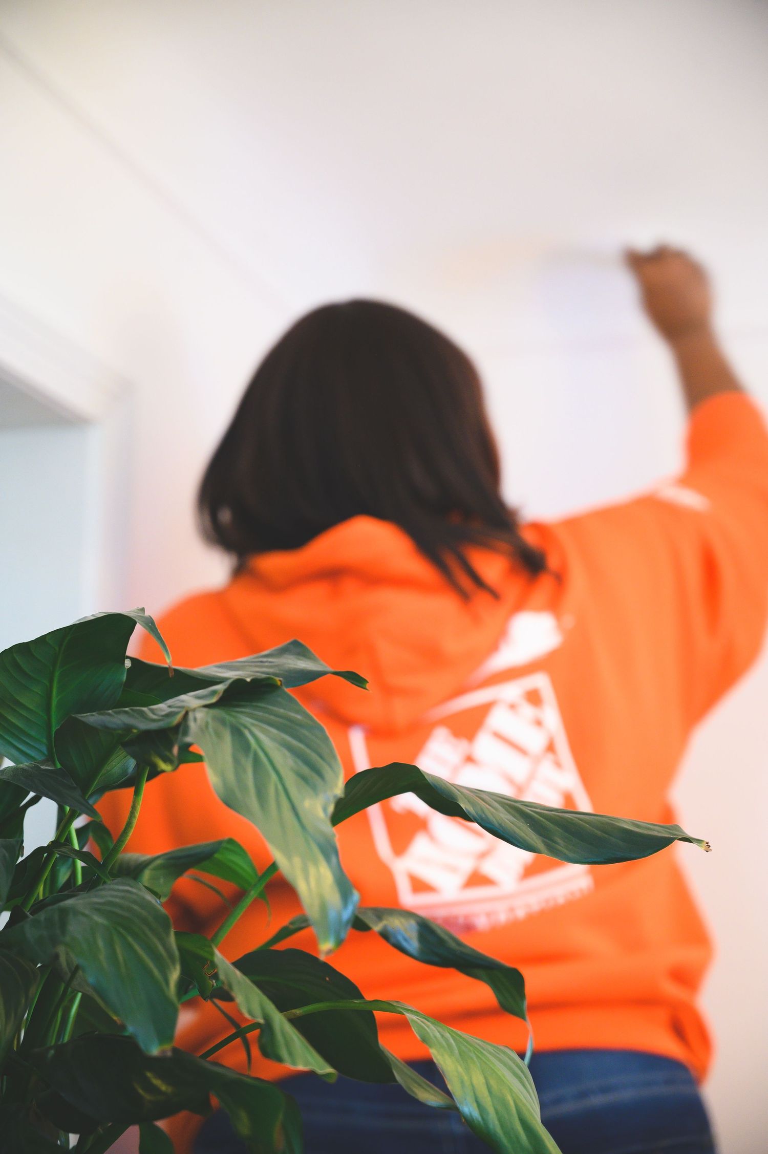 Orange-clad person painting wall with houseplant in foreground.
