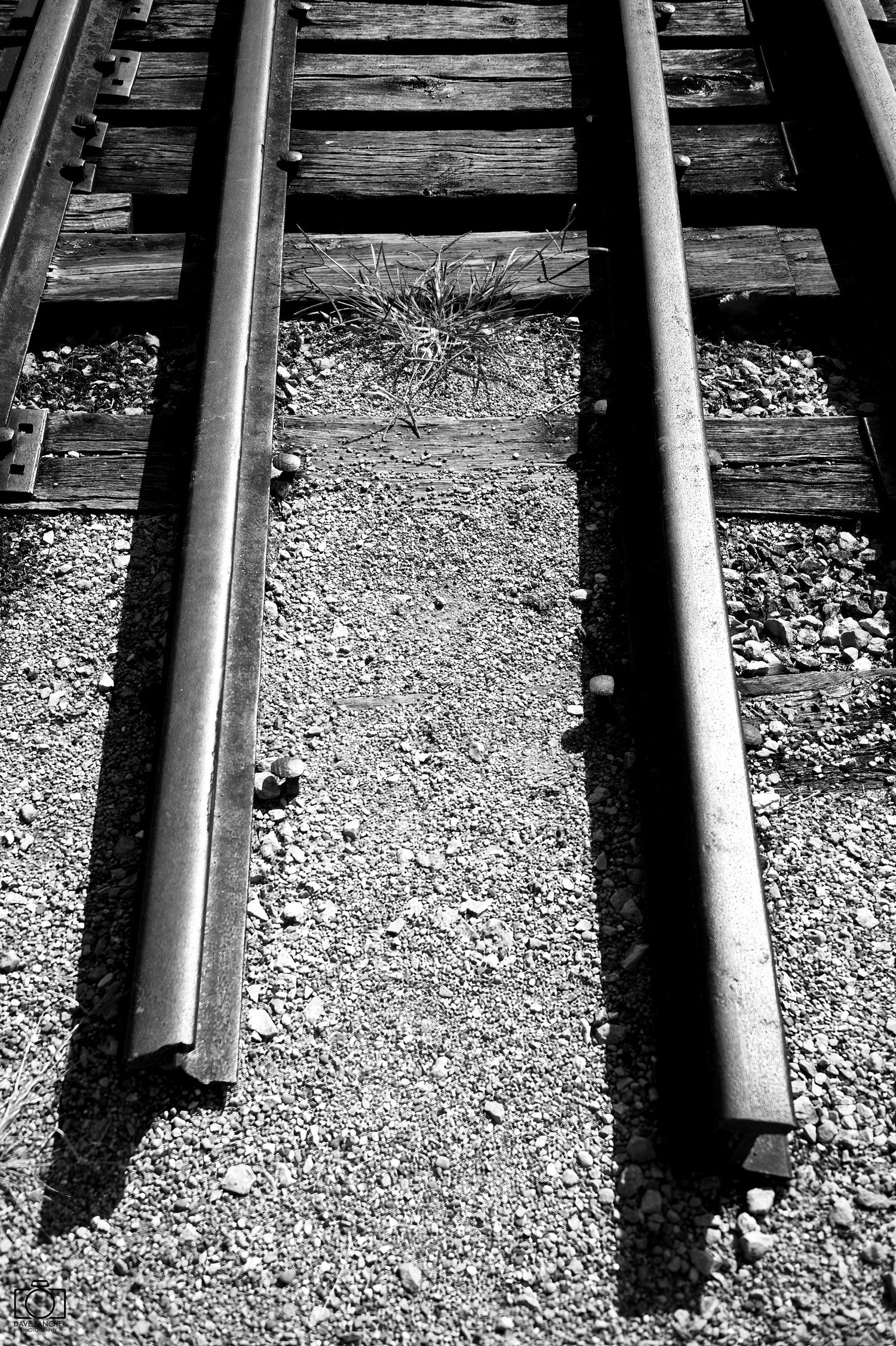 Train tracks along the canal in Metamora, Indiana