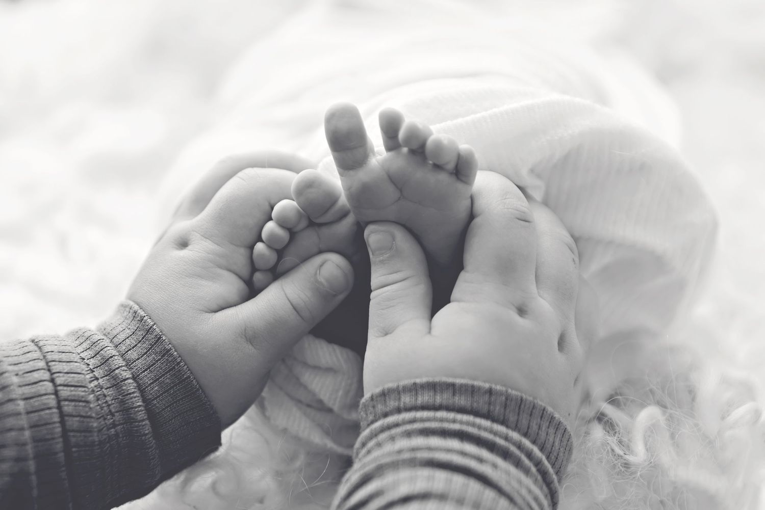 Close-up black and white photo of tiny baby feet being held gently by adult hands.