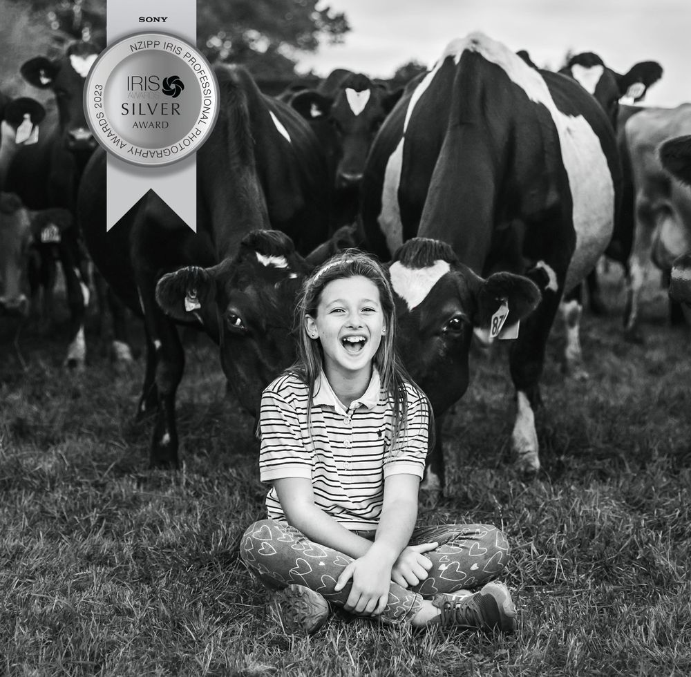 Silver award winning photo of girl sitting in front of a herd of cows in black and white on farm in Canterbury NZ