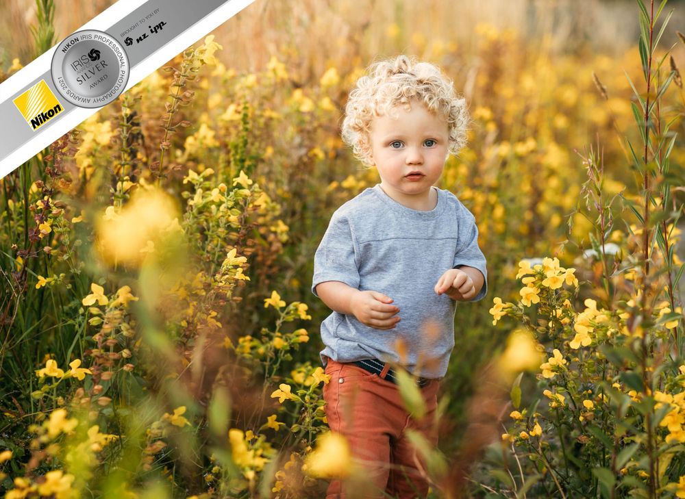 Silver award photo of blonde curly haired boy with cherub face in field of yellow flowers