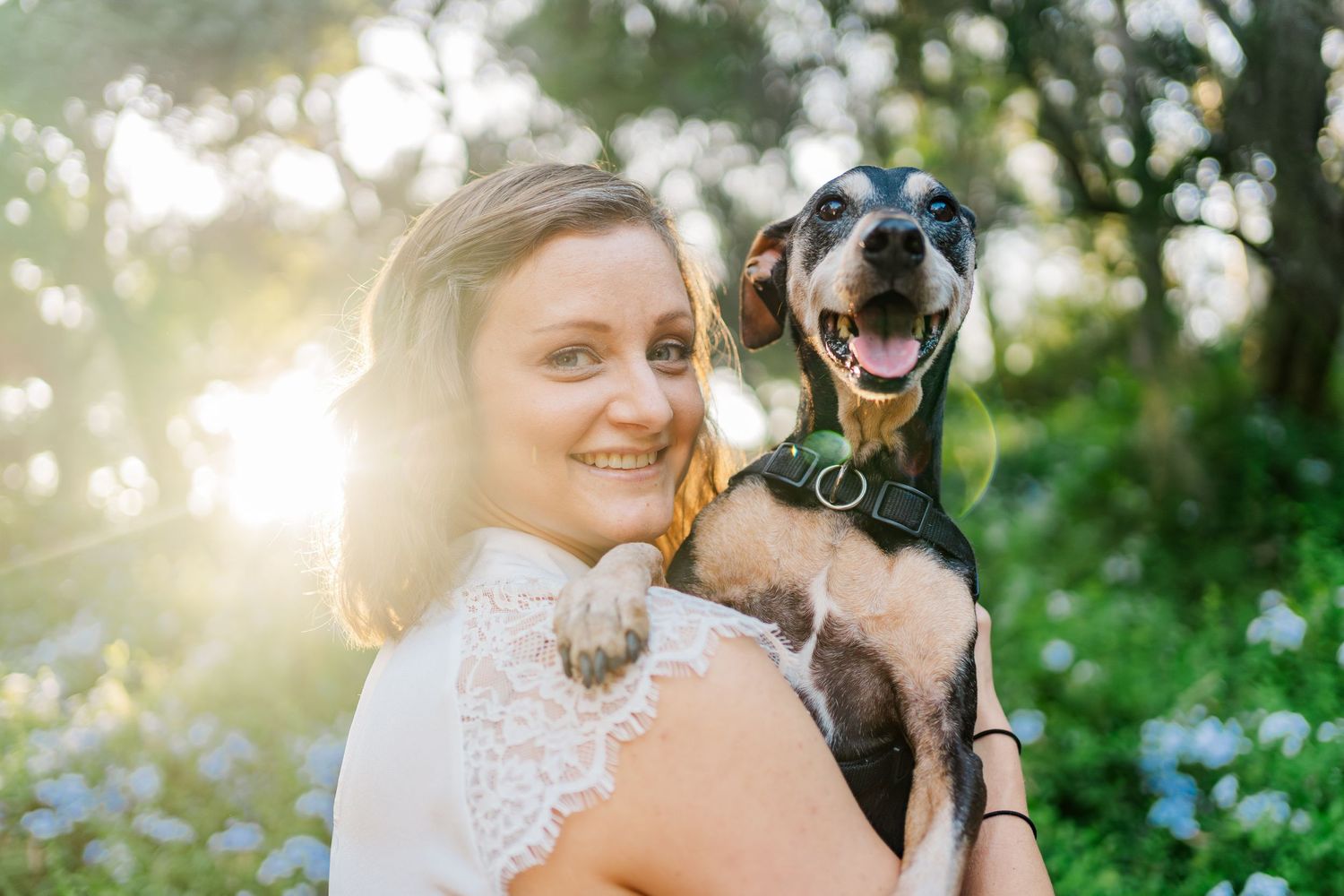 Happy black and white dog being held outdoors in nature with sunlight and flowers in background.