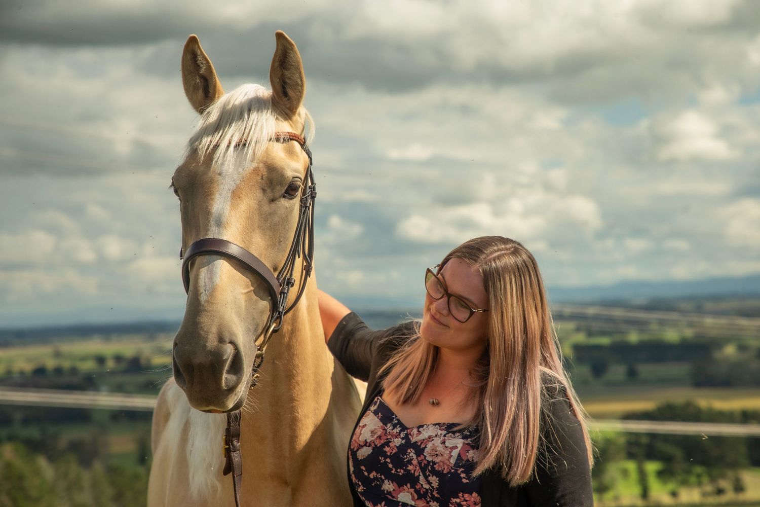 horses