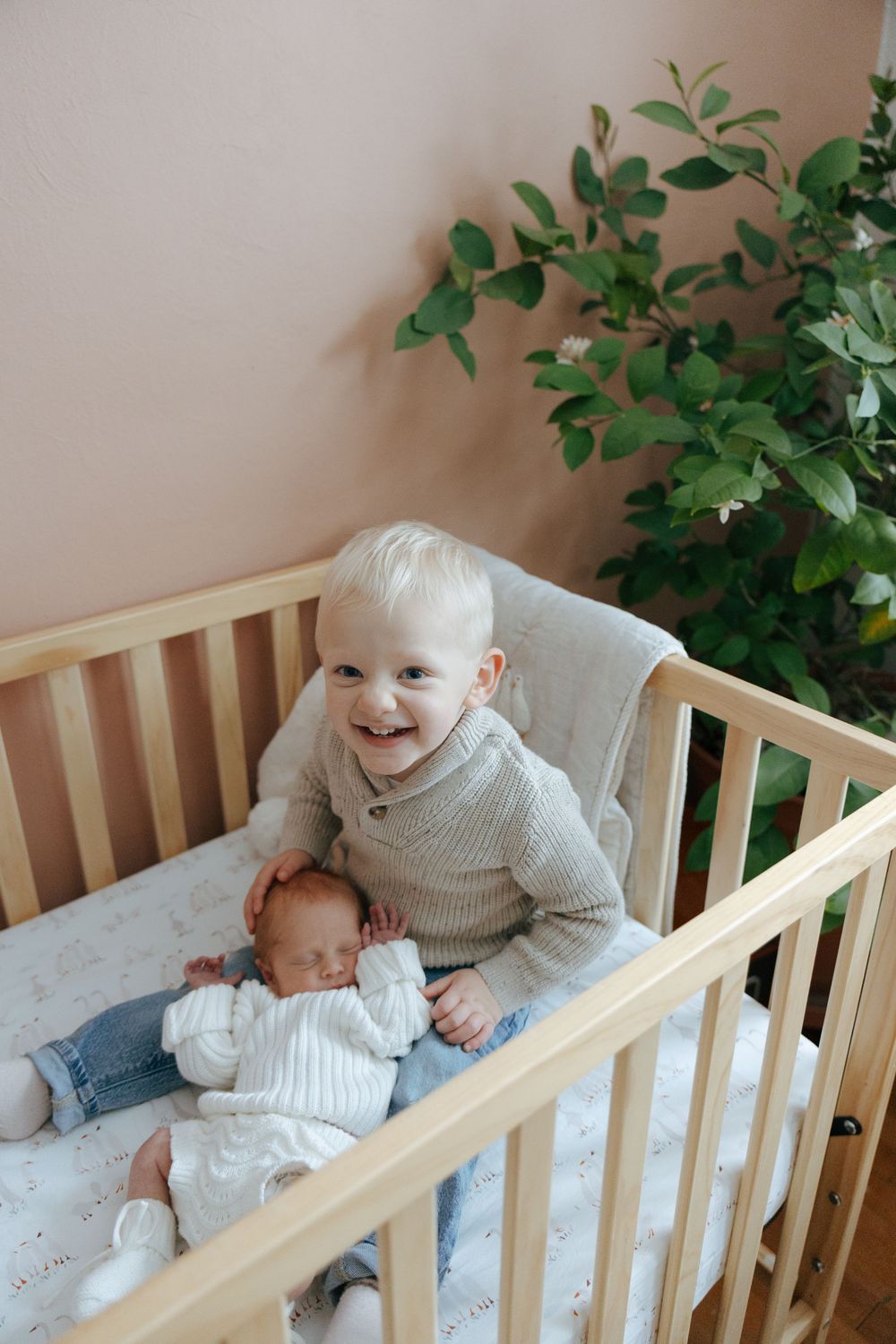 A sequence of four photos showing siblings interacting in a wooden crib with green foliage in the background.