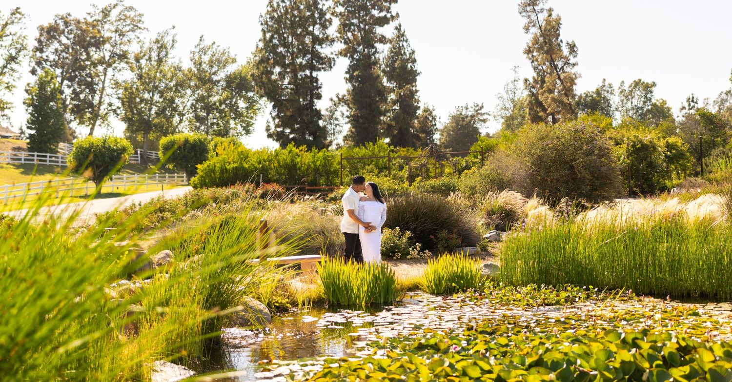 Two people relax in a scenic garden landscape with water features, native plants, and blooming waterlilies on a sunny day.