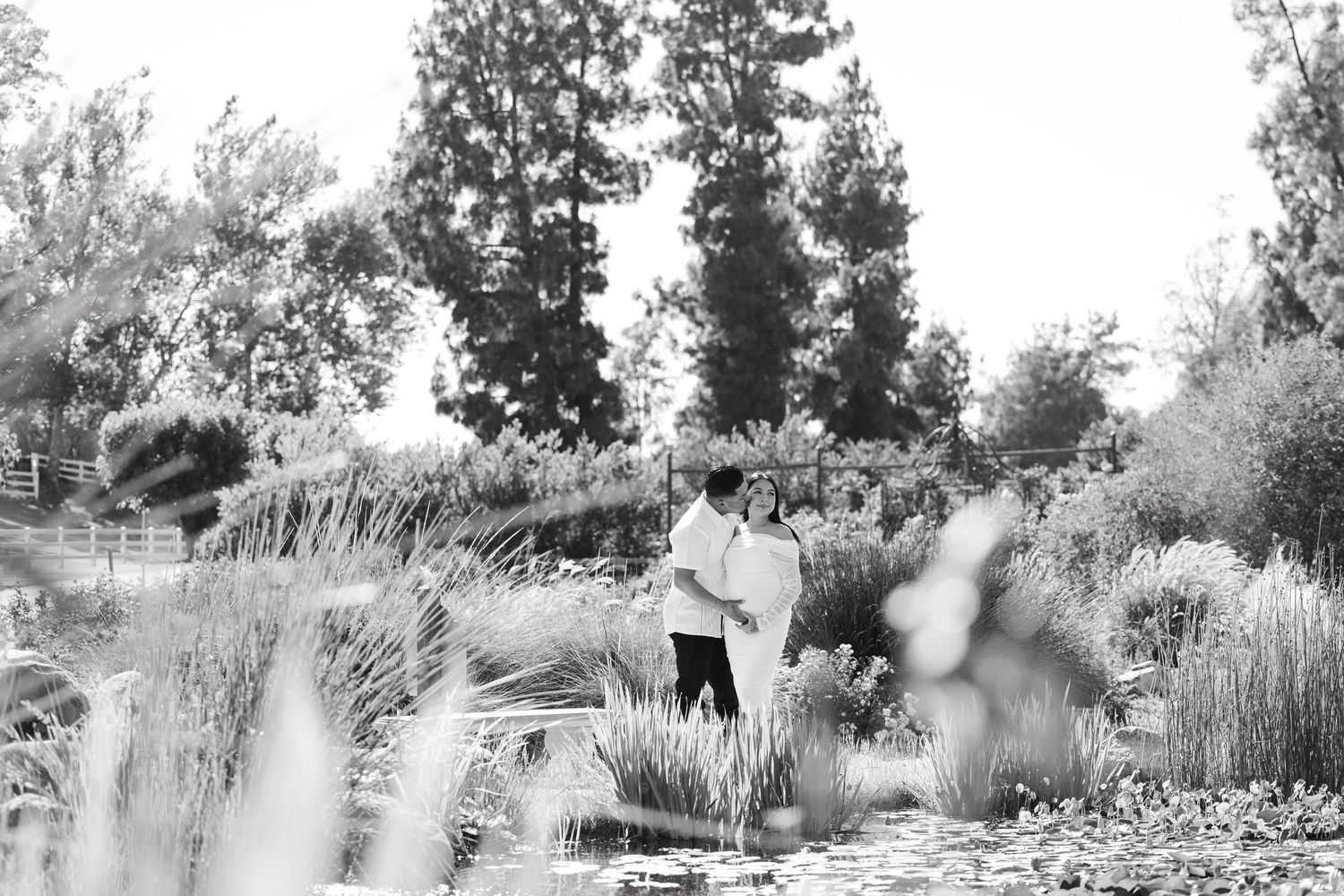 A romantic black and white photograph of a couple standing amid tall ornamental grasses in a garden setting.