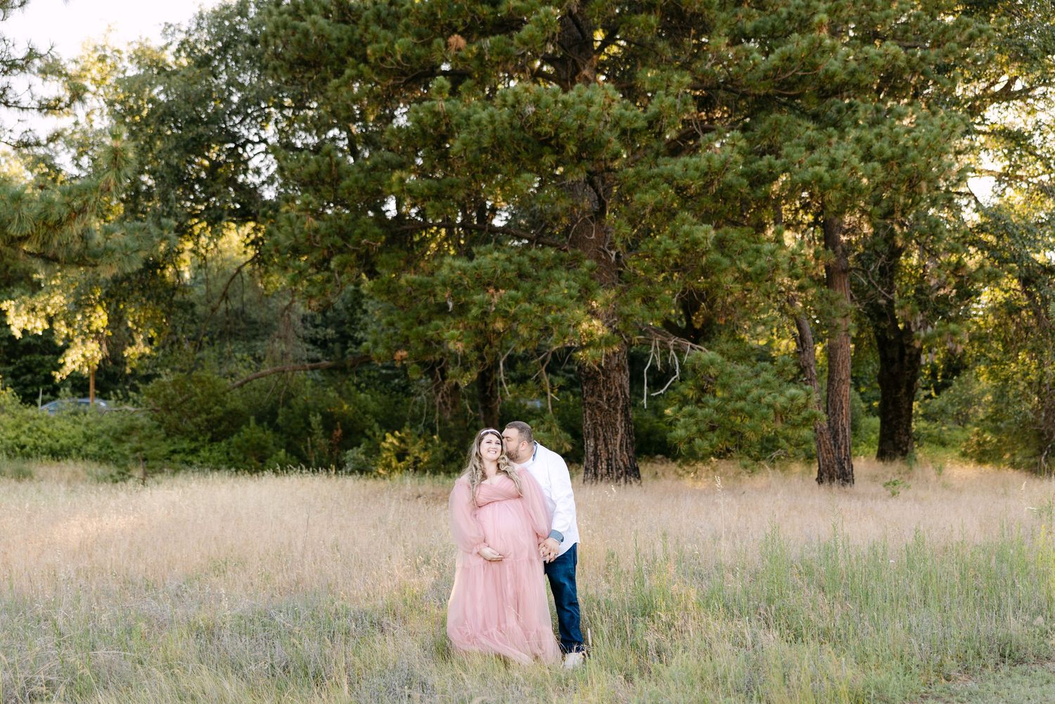 Couple standing together in a golden meadow at sunset with tall pine trees in the background.